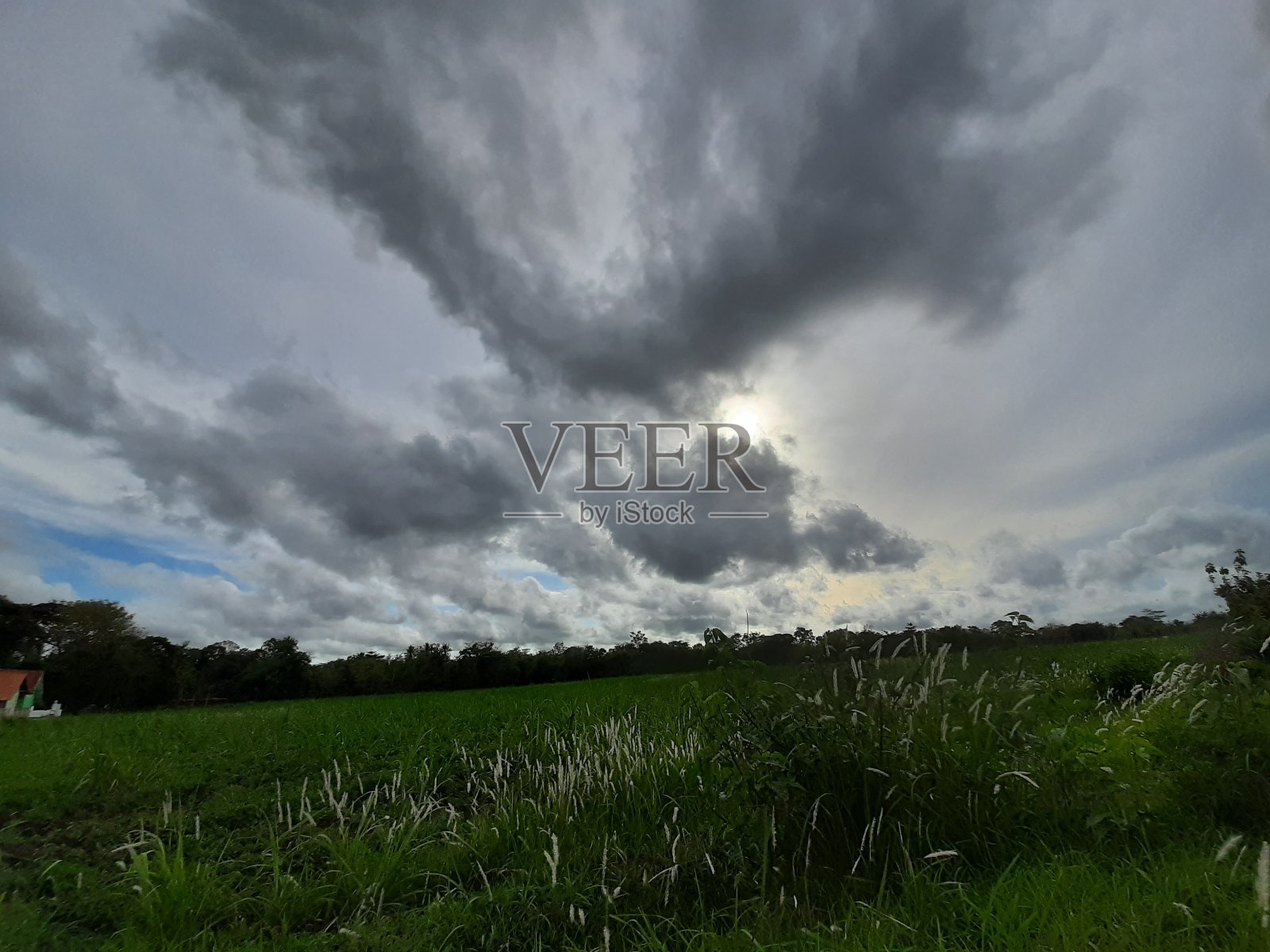 多云的稻田照片摄影图片