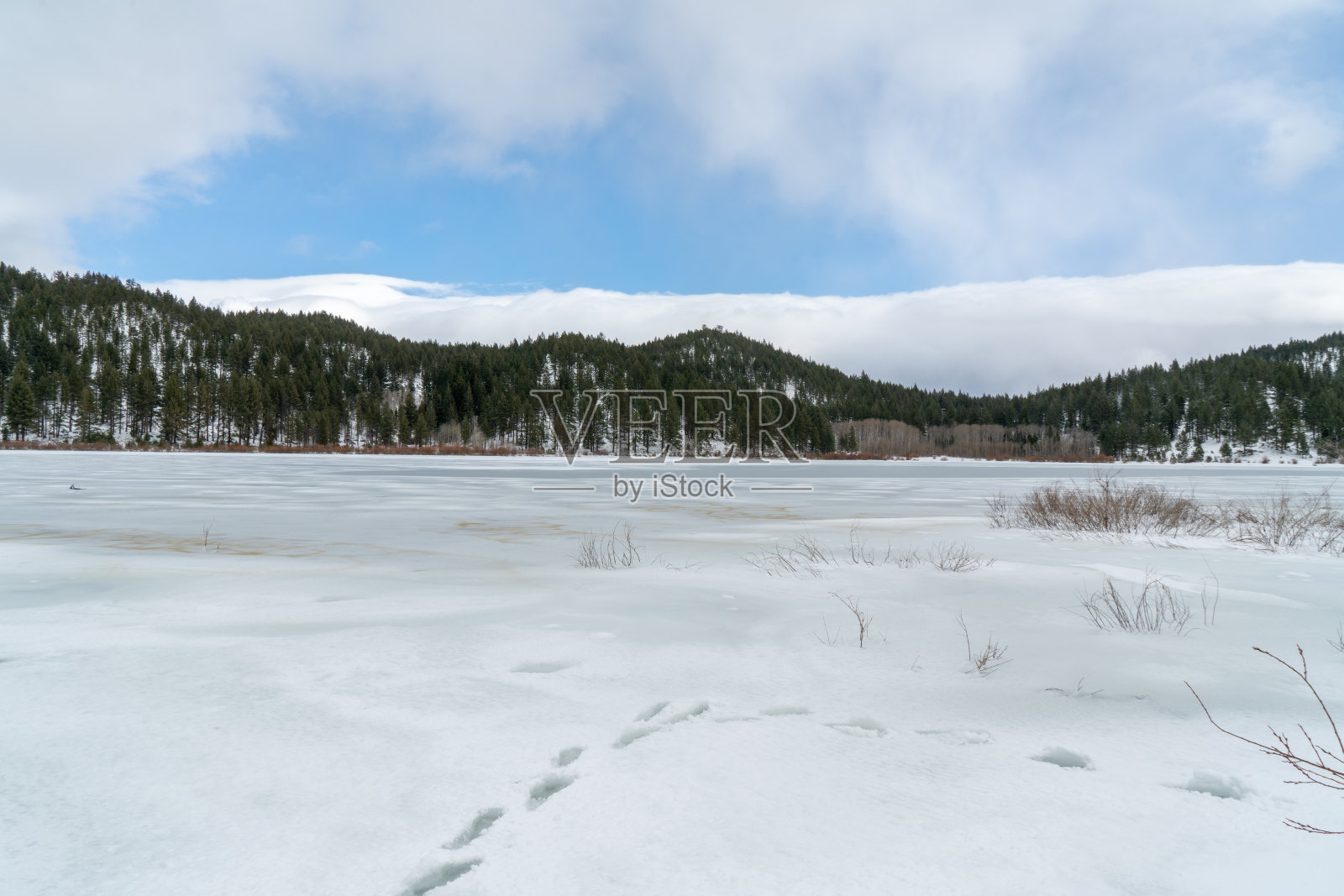塔霍湖州立公园的斯普纳湖在冬天结冰了照片摄影图片