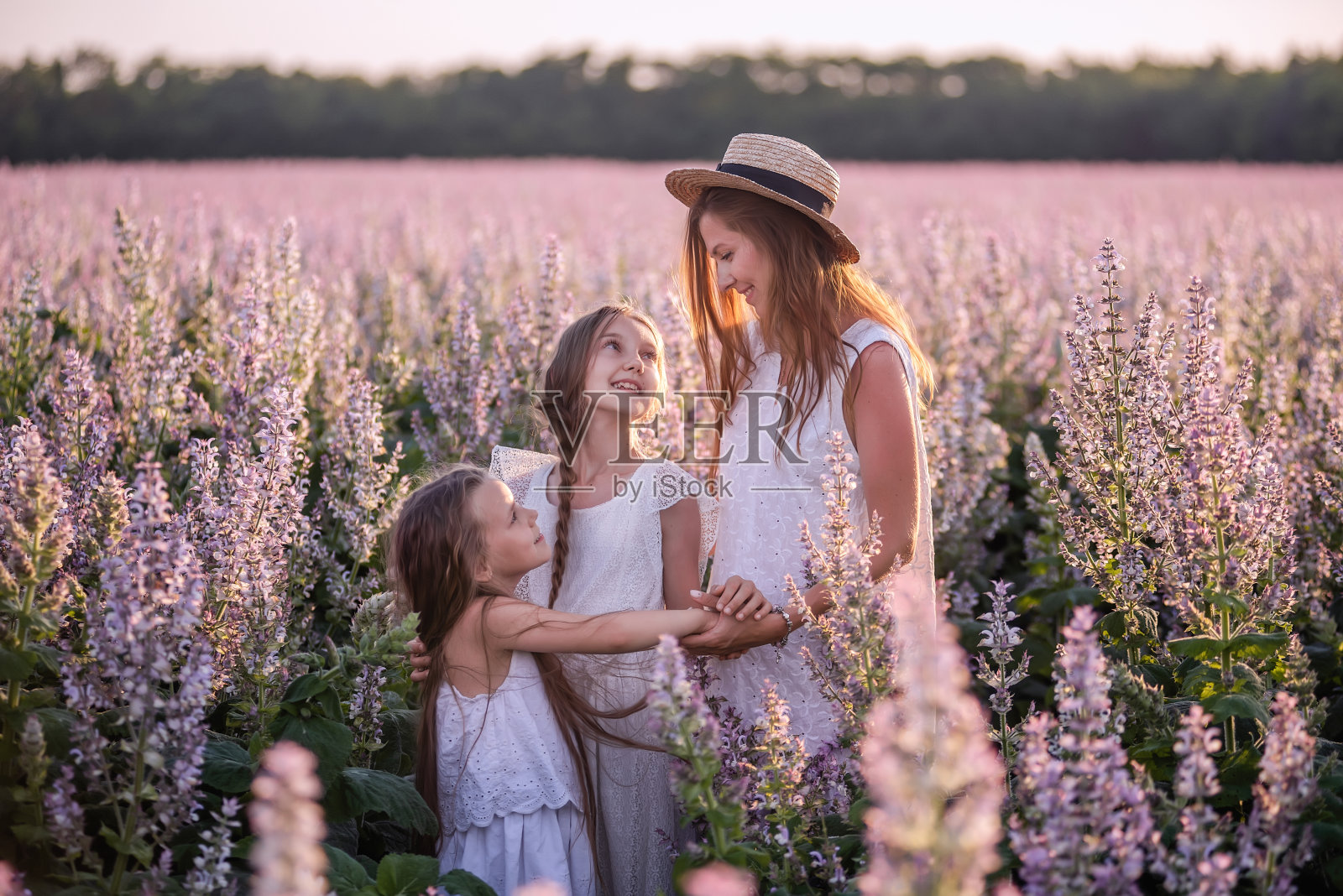 年轻的母亲拥抱她的两个女儿在紫色盛开的鼠尾草田。身穿白衣,头戴草帽。女人亲切地拥抱女孩,抚摸,亲吻。外出散步,周末旅行。本空间照片摄影图片
