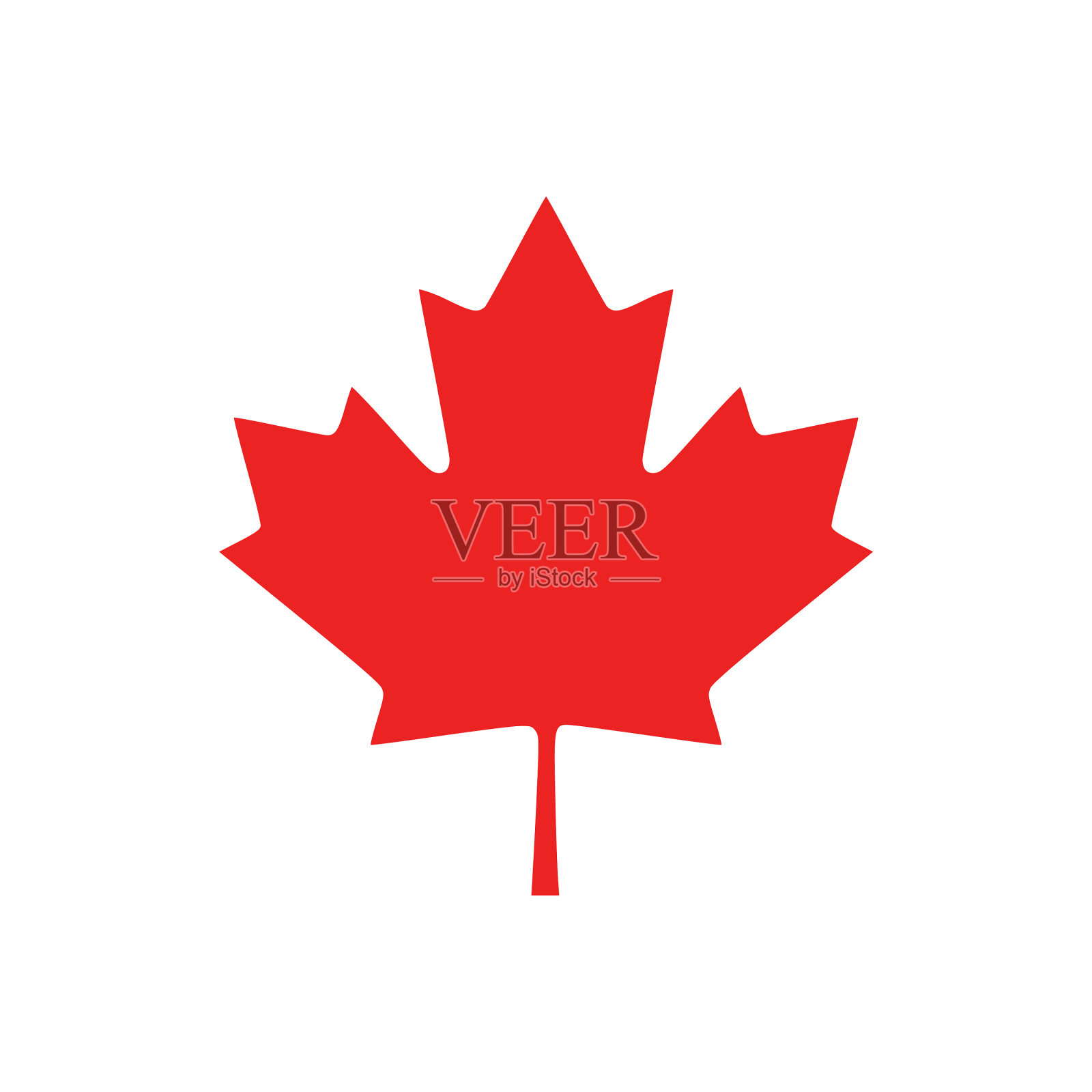 枫叶与背景插画图片素材