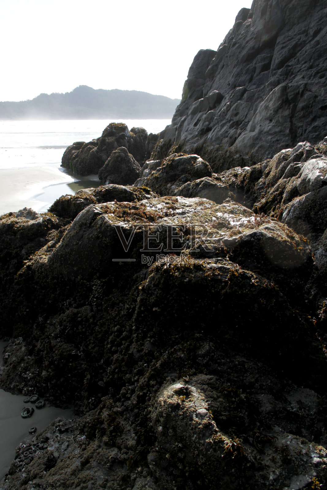 黑暗锯齿状照片摄影图片