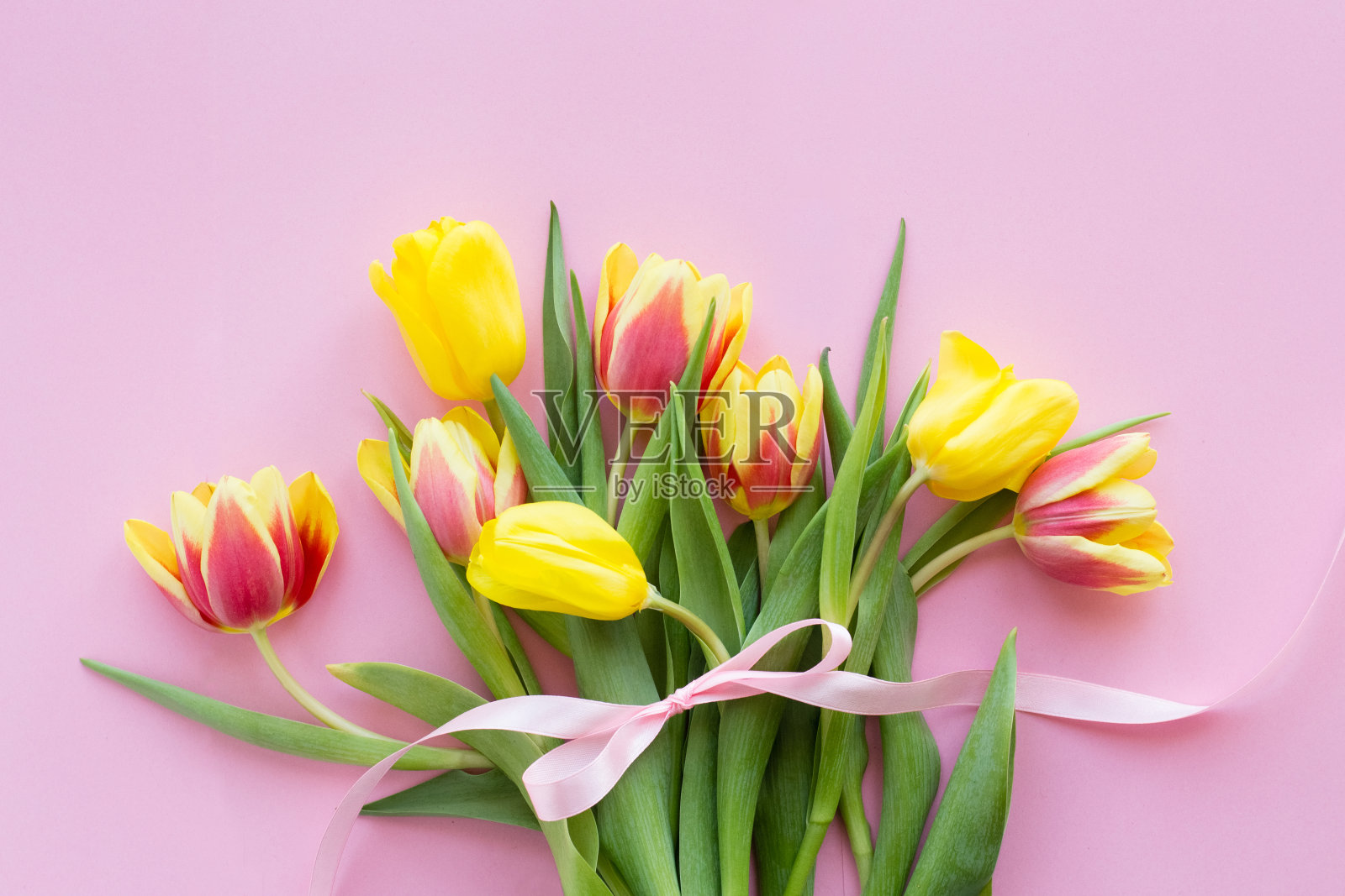 郁金香照片摄影图片