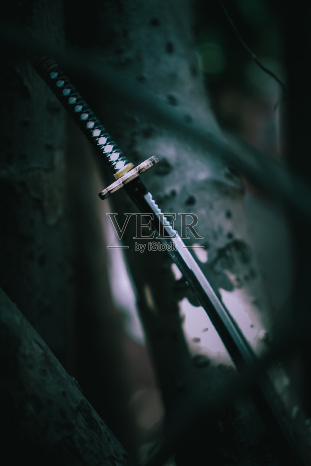 剑自然照片摄影图片