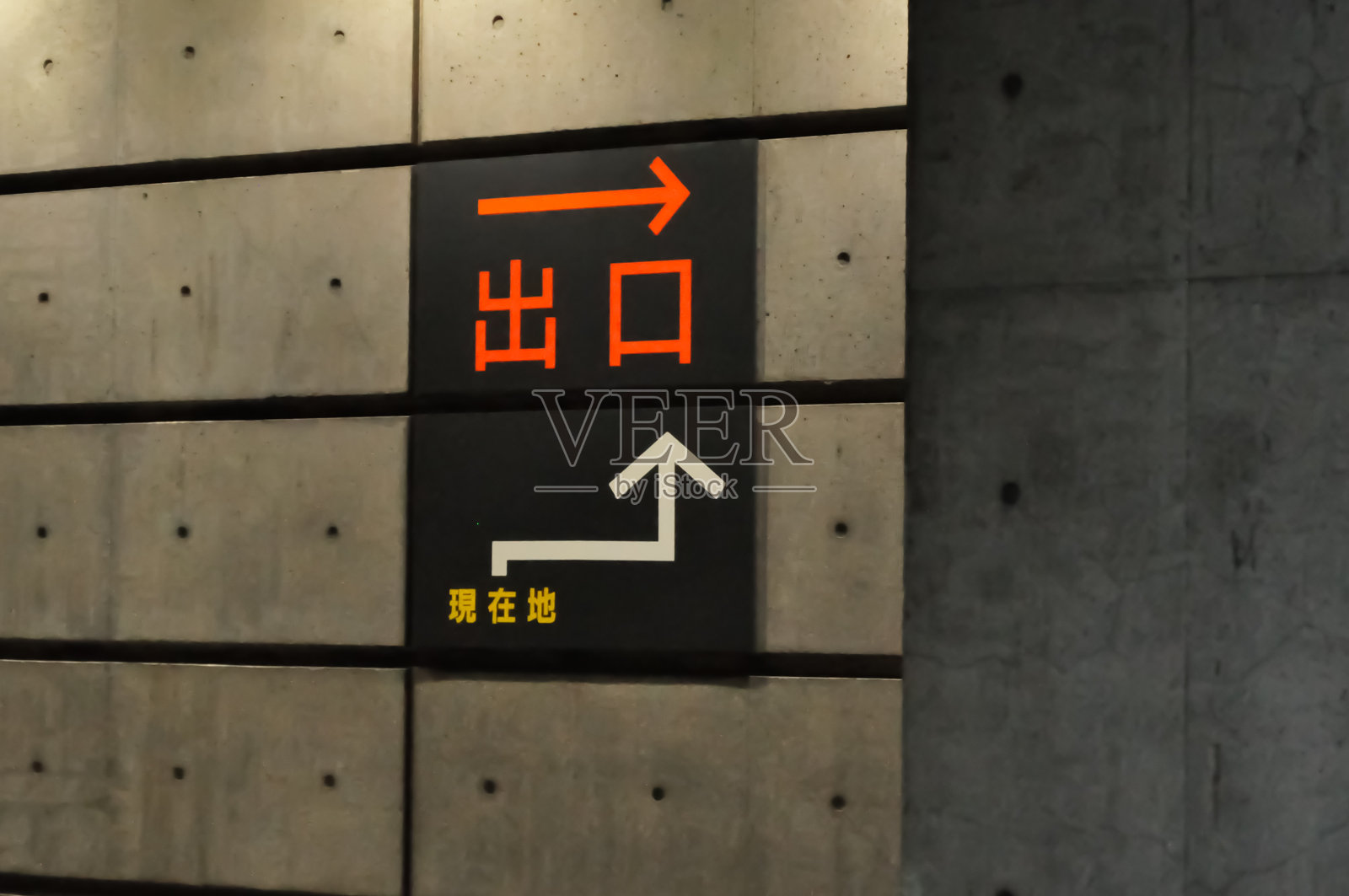 根照片摄影图片