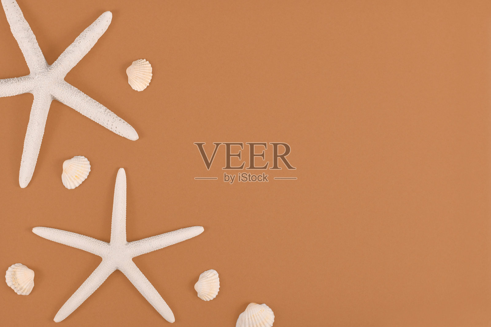 白色海星和贝壳的一边,沙棕色的背景照片摄影图片