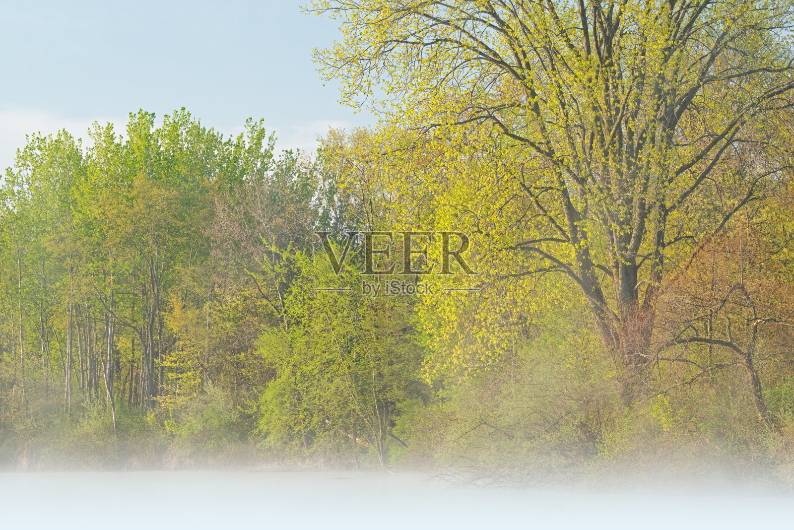 春滨杰克逊洞湖照片摄影图片