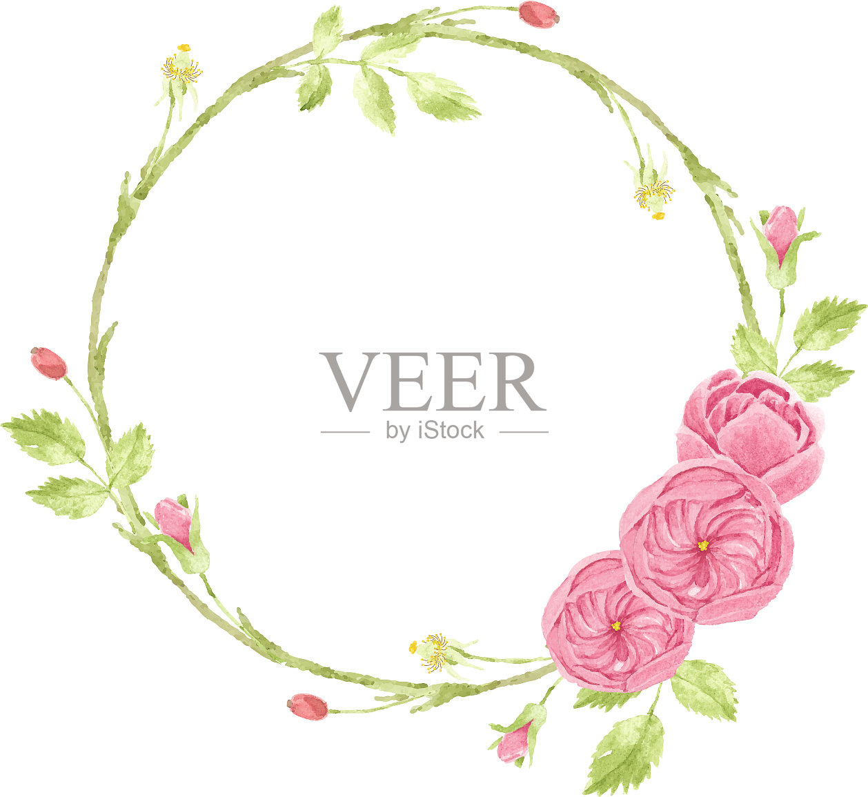 水彩粉色英国玫瑰花环框架设计元素图片