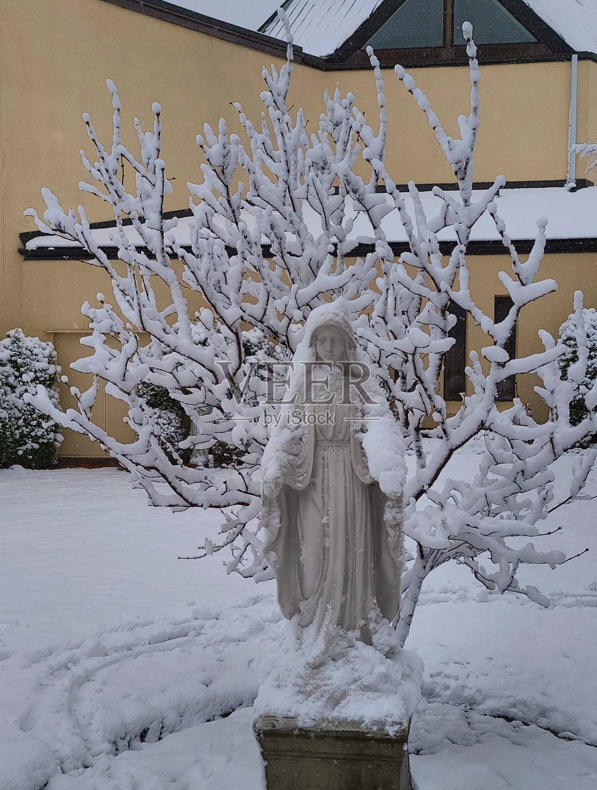 冬季的玛利亚雕像照片摄影图片