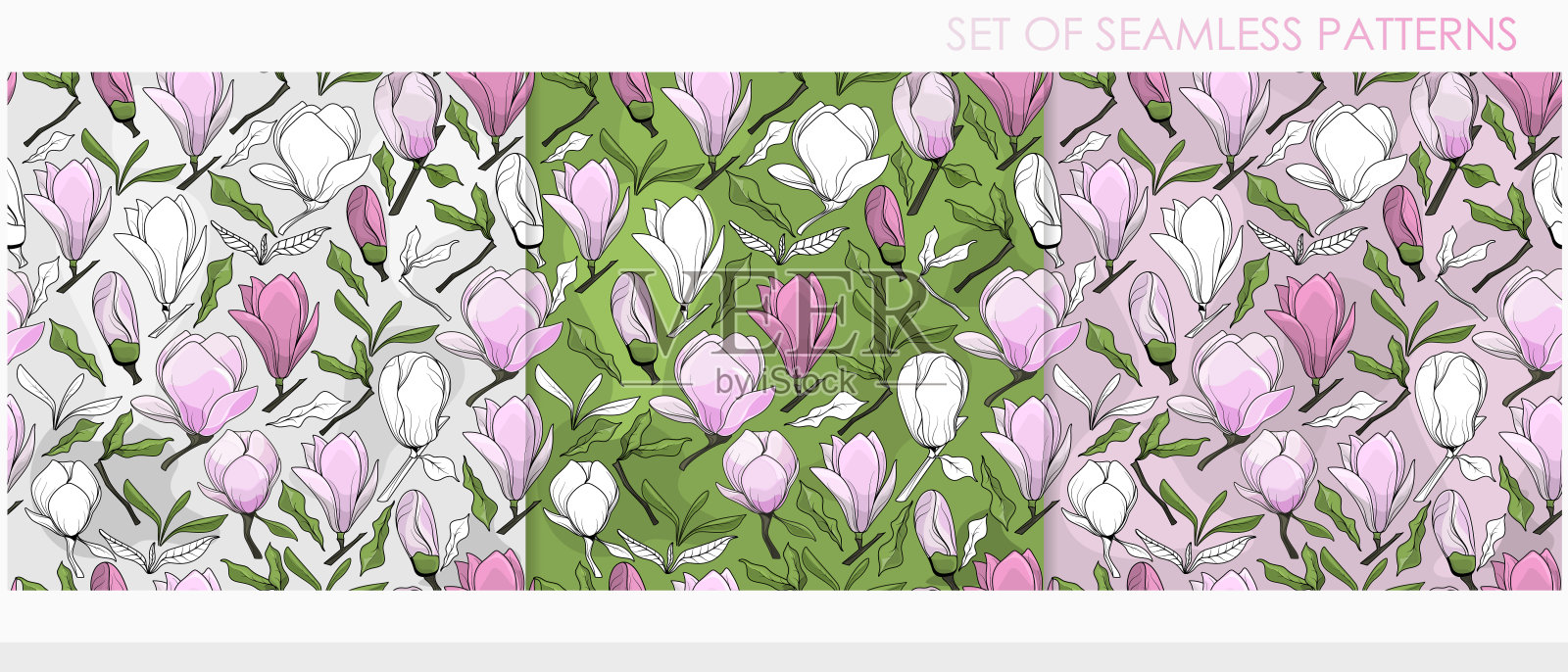 一套无缝的模式与木兰在不同的背景。花卉图案。插画图片素材