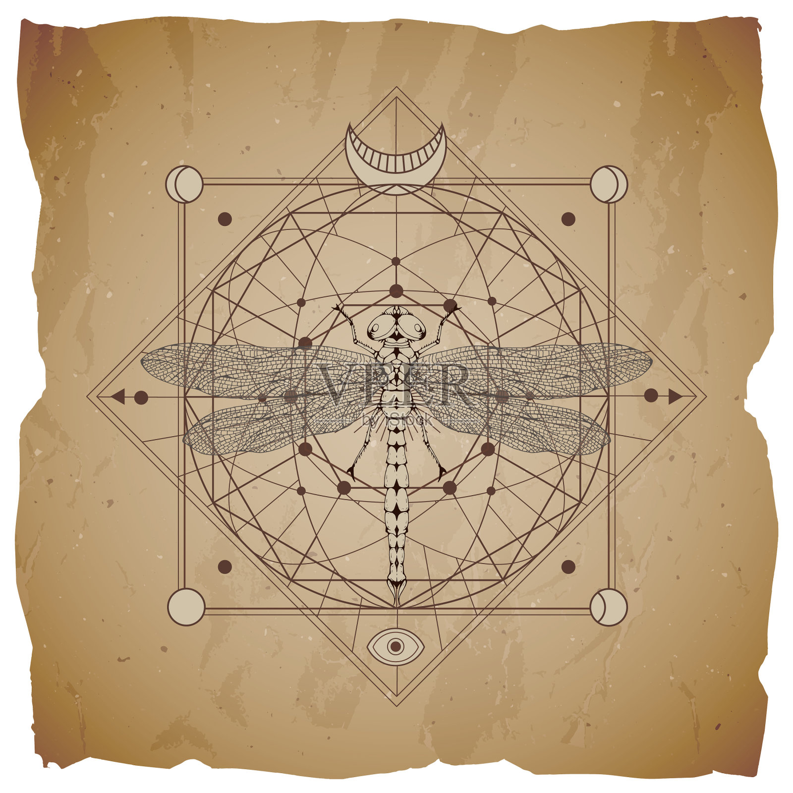 蜻蜓和几何符号插画图片素材