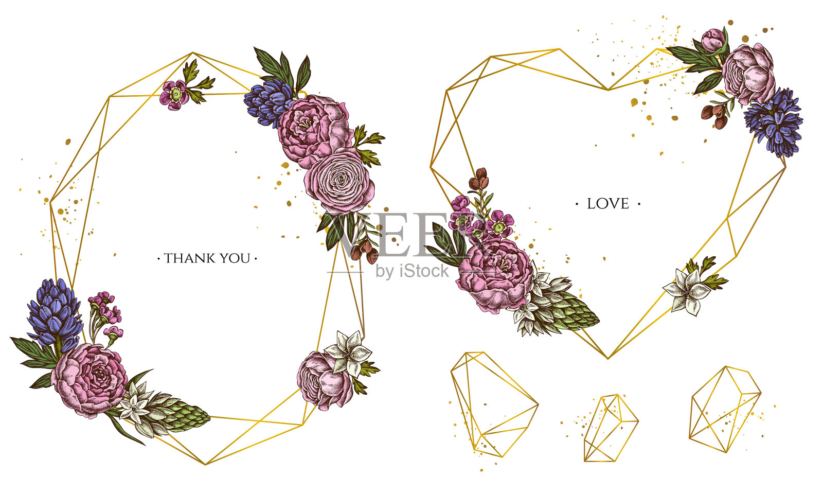 金框配牡丹毛茛蜡花插画图片素材