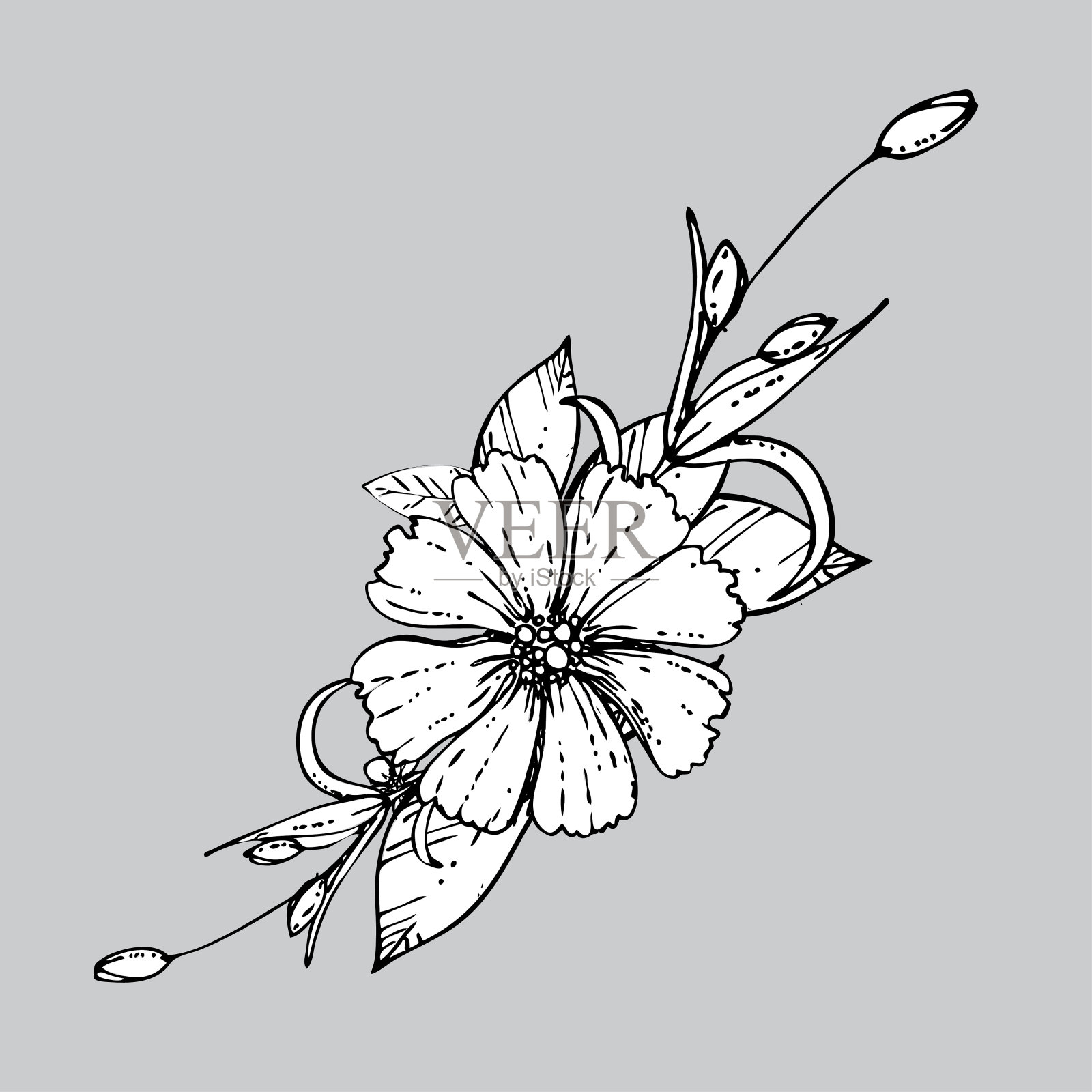 手绘墨水花卉装饰与花和叶。向量插画图片素材