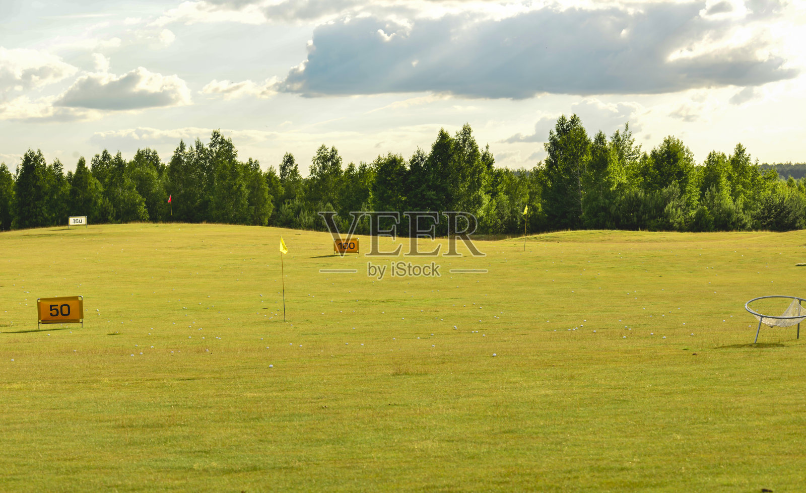 高尔夫球场,草地上的高尔夫球照片摄影图片