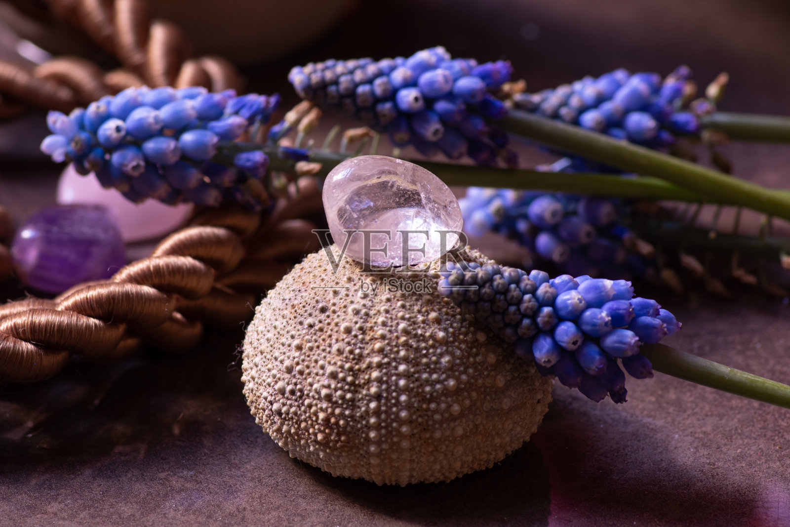 桌上圣诞装饰特写照片摄影图片