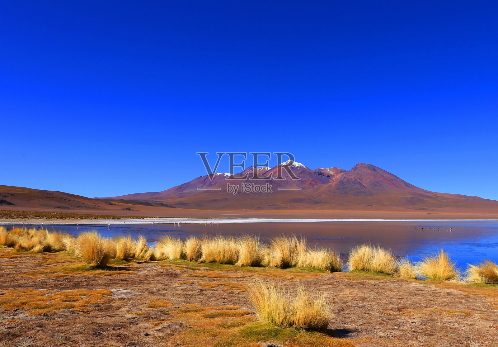 安提普莱诺的玻利维亚沙漠照片摄影图片