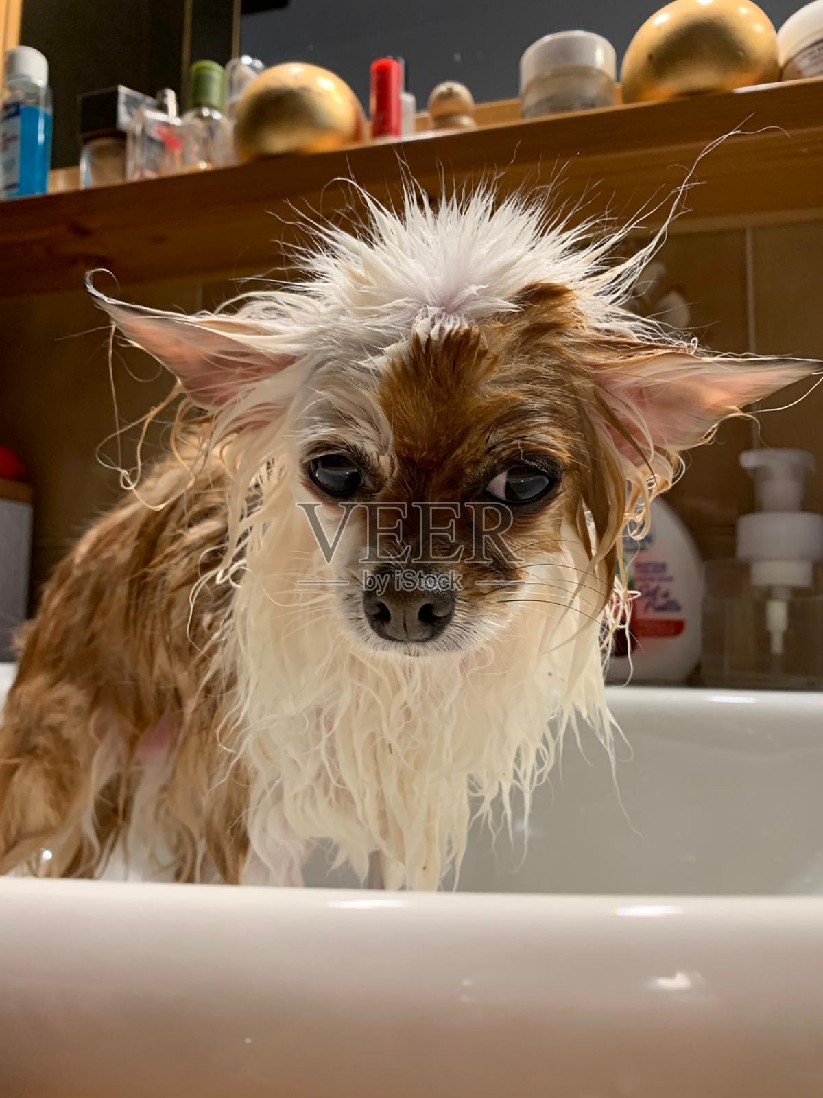 我们洗个澡吧?照片摄影图片