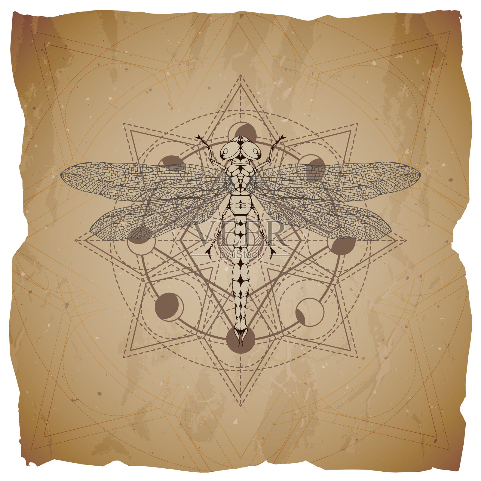 蜻蜓和神圣的象征插画图片素材