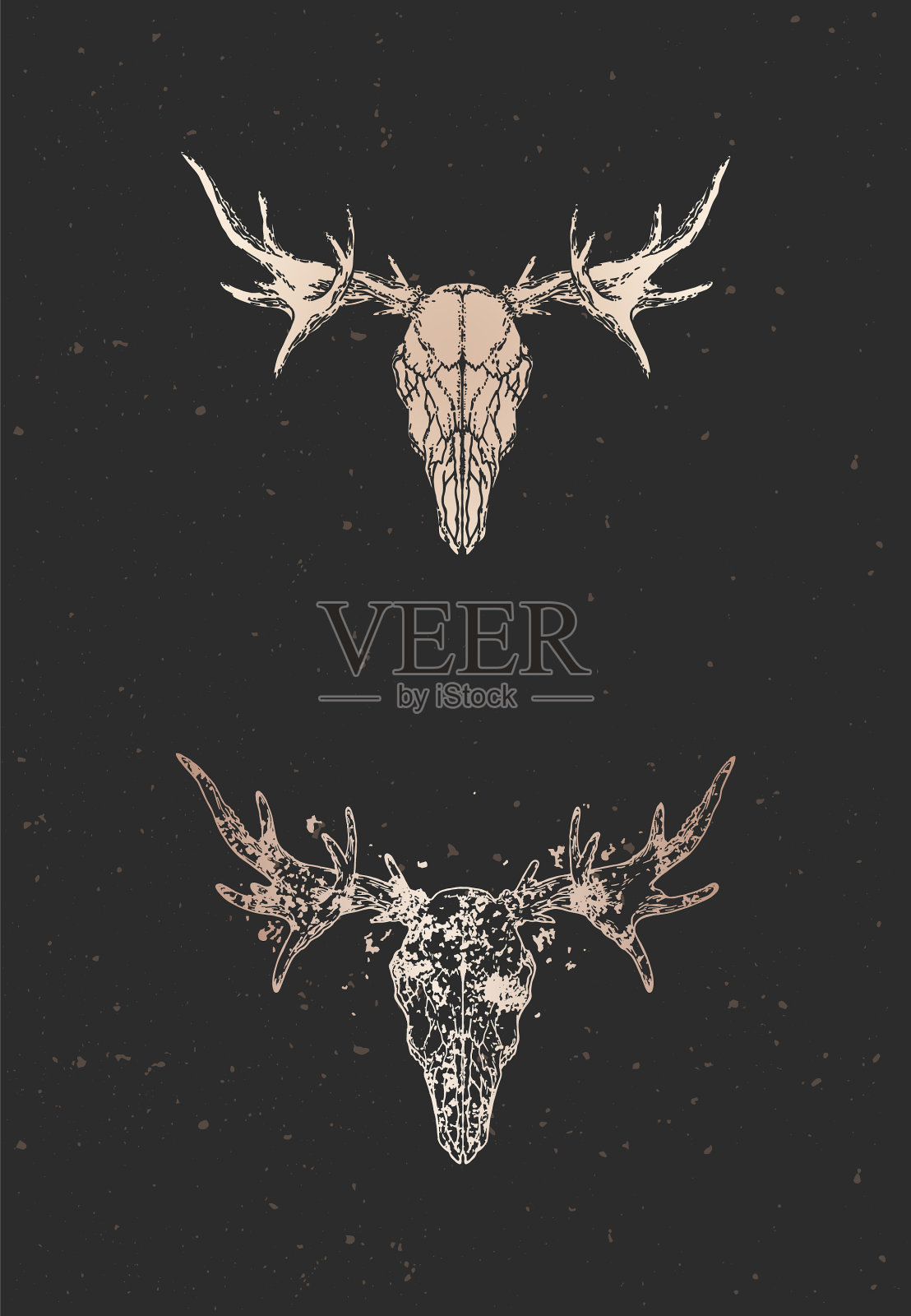 有两个变种手绘的驼鹿头骨插画图片素材