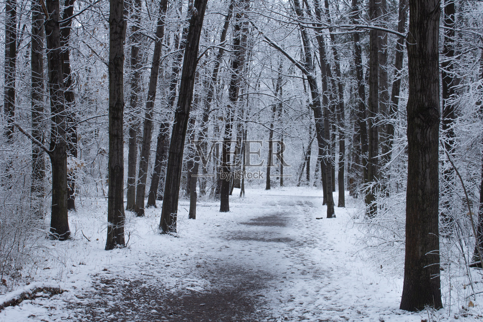 公园里的一条小路被雪覆盖着照片摄影图片