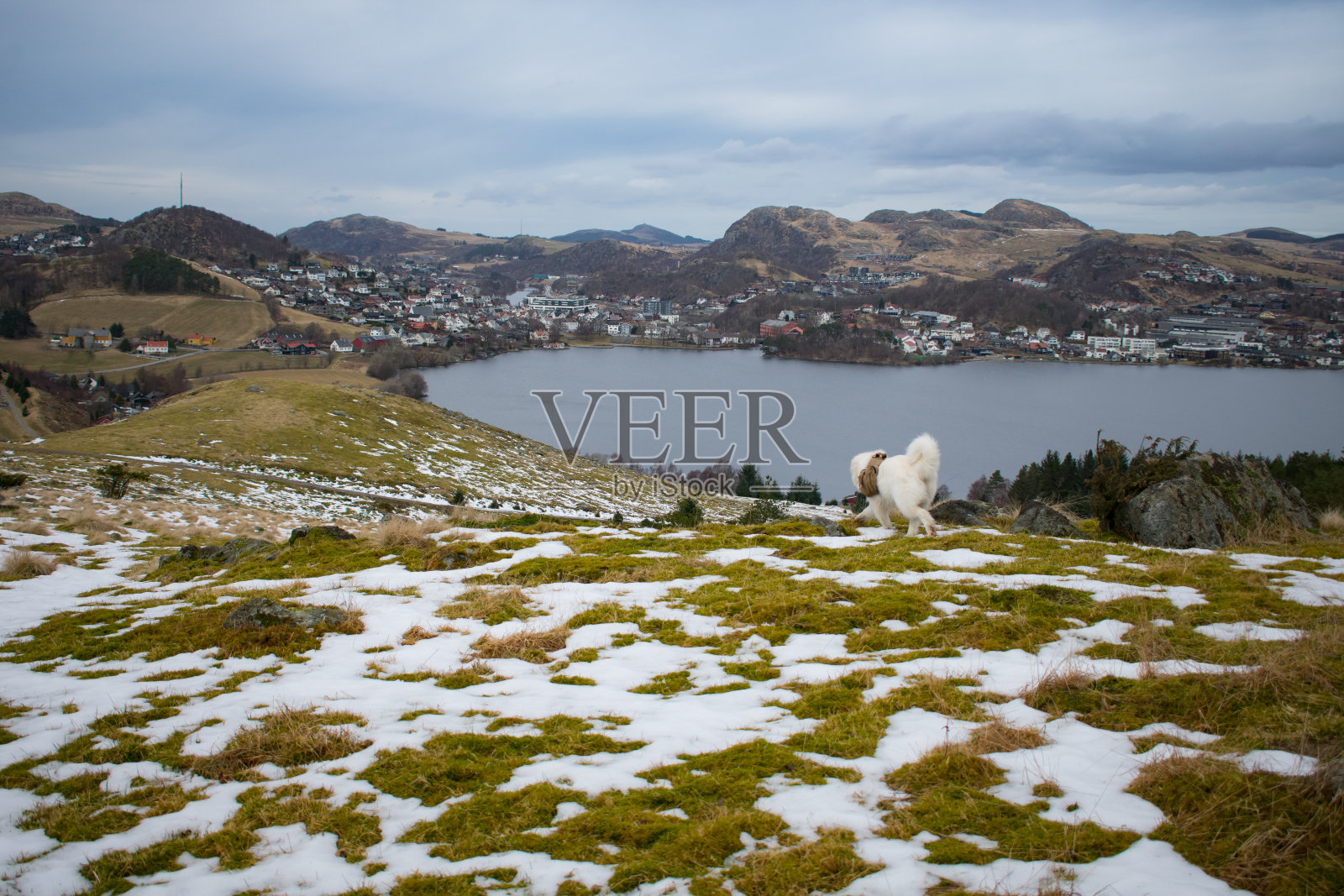 令人惊叹的鸟瞰挪威冰湖。令人叹为观止的冬季全景峡湾景观,宁静的自然之美照片摄影图片