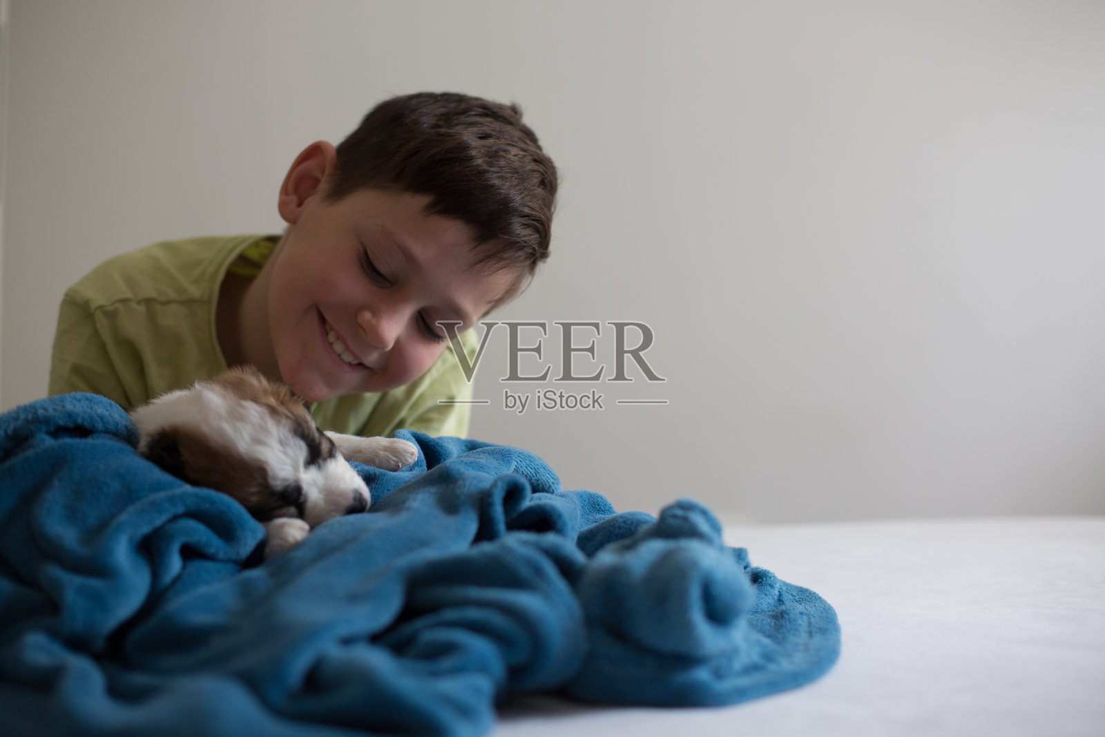 小男孩看着睡着的小狗。照片摄影图片