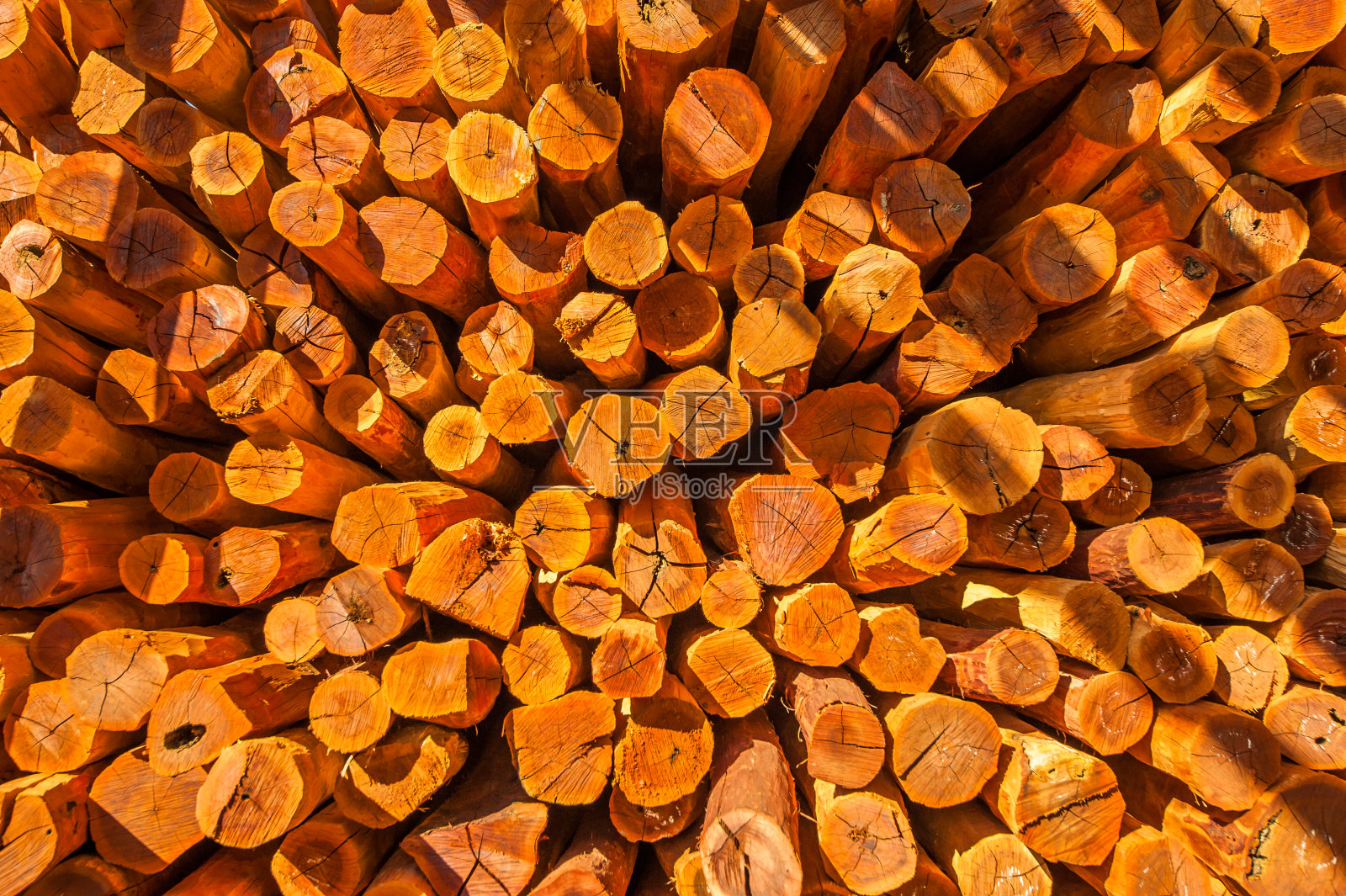 巴西的森林砍伐,环境恶化。照片摄影图片