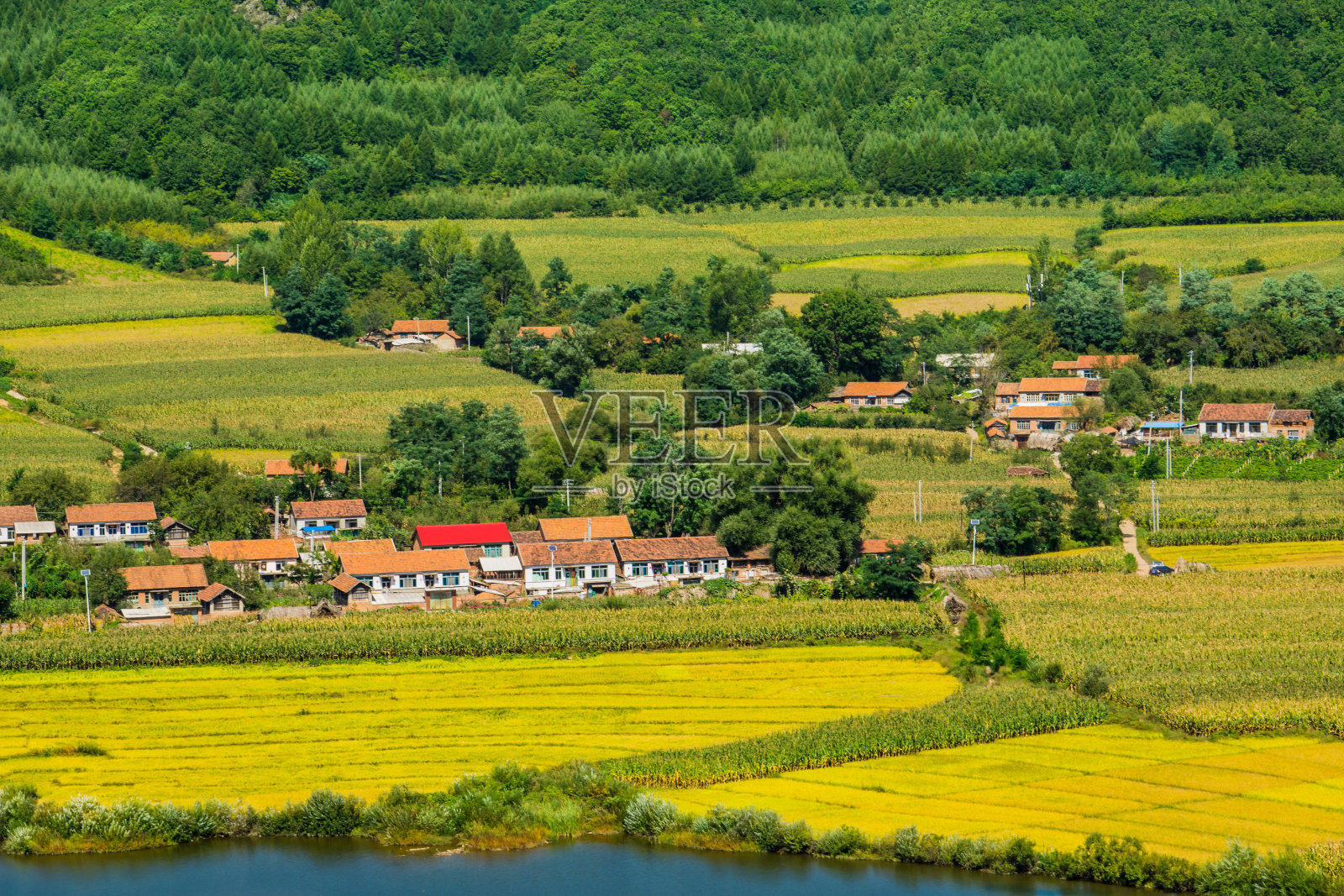秋天的乡村和田野照片摄影图片
