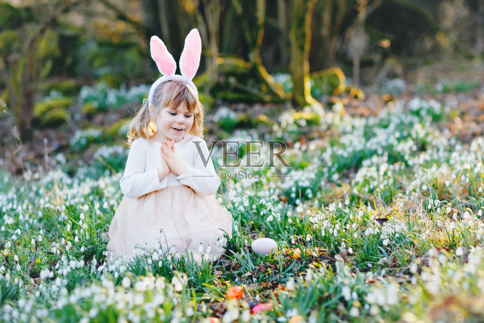 小女孩带着复活节兔子耳朵在春天的森林里寻找彩蛋。可爱的快乐的孩子有很多雪花莲花和彩色的鸡蛋。春天,基督教节日的概念。照片摄影图片