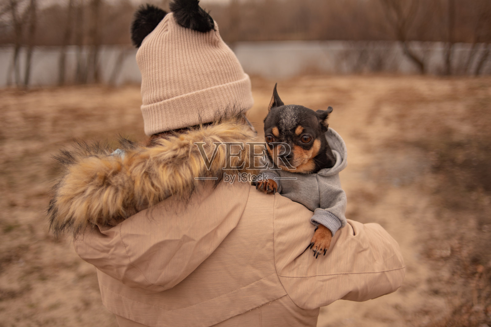一个快乐的少女和她的小吉娃娃狗的肖像。少女和吉娃娃狗。一个穿米色夹克戴米色帽子的女孩。照片摄影图片