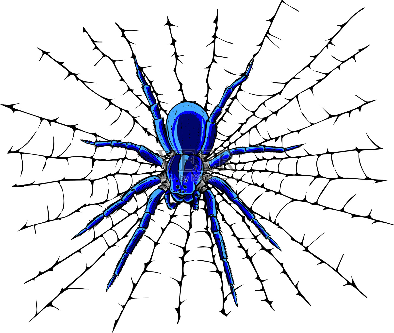 一只蜘蛛和一张网设计元素图片