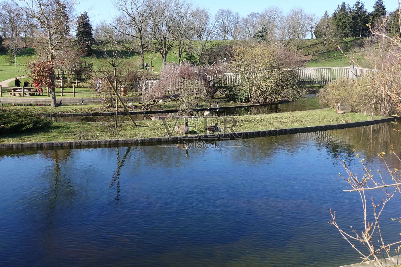 池塘在一个公共公园人行桥木制Île-de-France照片摄影图片