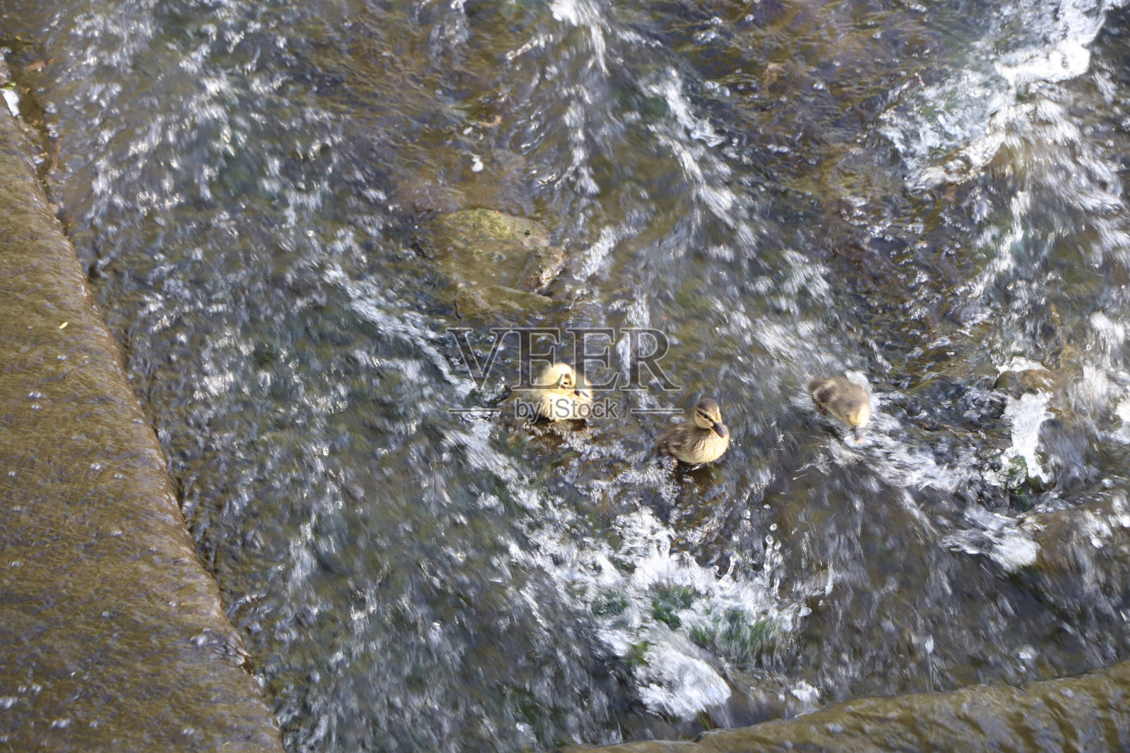 第一次封锁后夏日阳光下的生活照片摄影图片