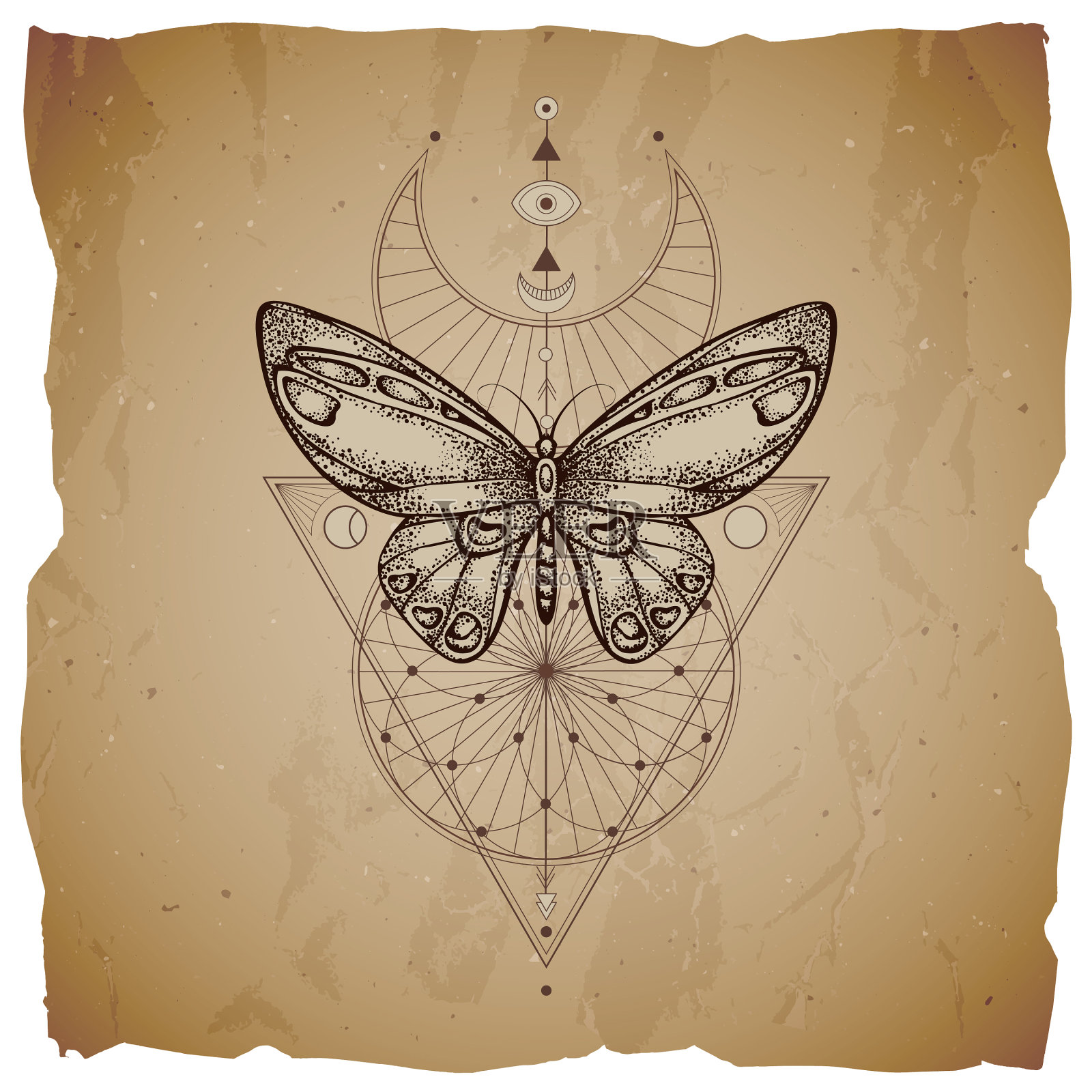 蝴蝶与几何符号插画图片素材