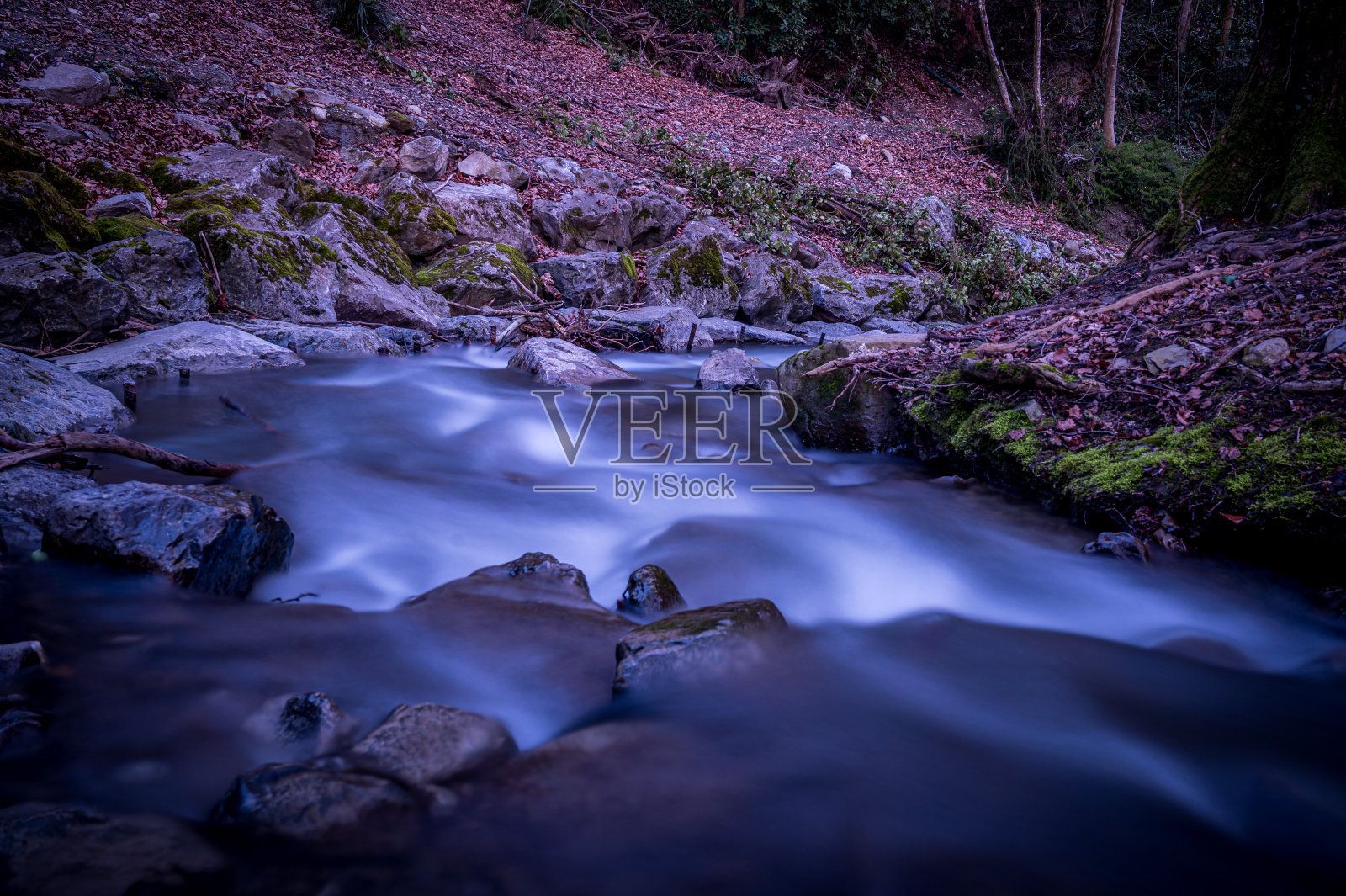 水流过岩石。自然美。长时间的曝光。瑞士洛桑。照片摄影图片