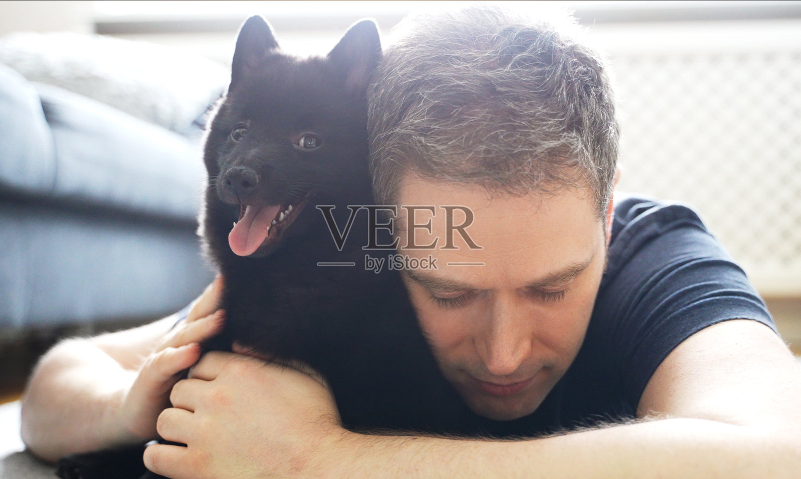 一名男子拥抱他的新小狗Schipperke。照片摄影图片