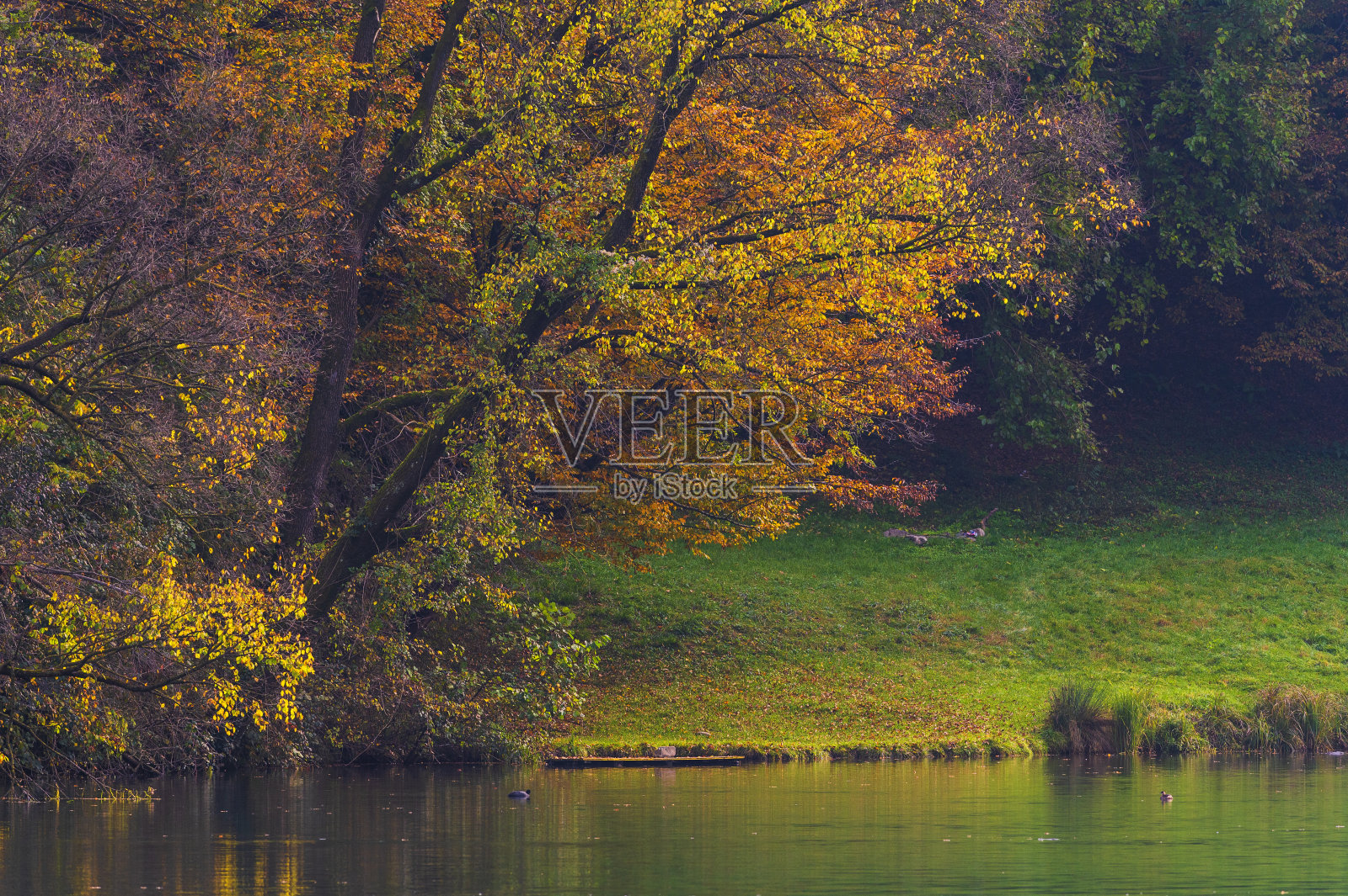 这条河增添了秋天的景色照片摄影图片