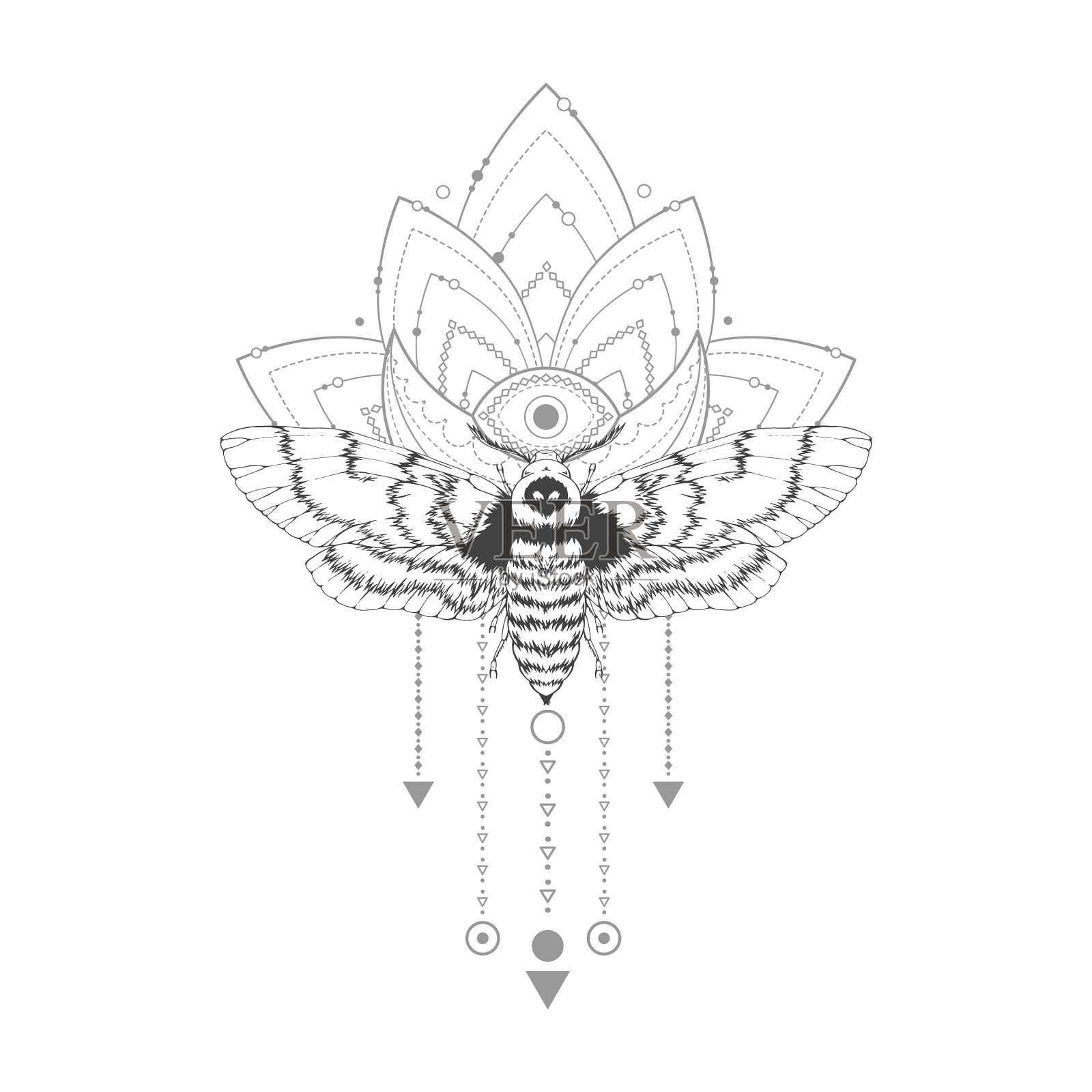 用手划死蛾和蛾头设计元素图片