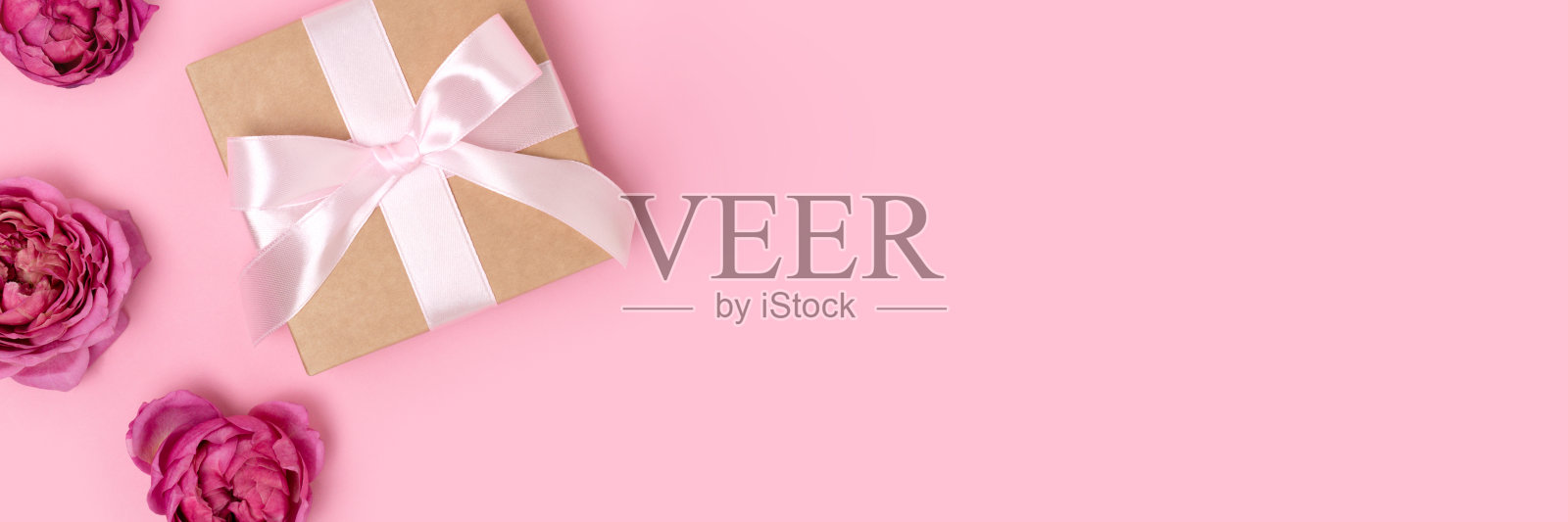 带有丝带和粉红背景玫瑰花头的礼品横幅。照片摄影图片