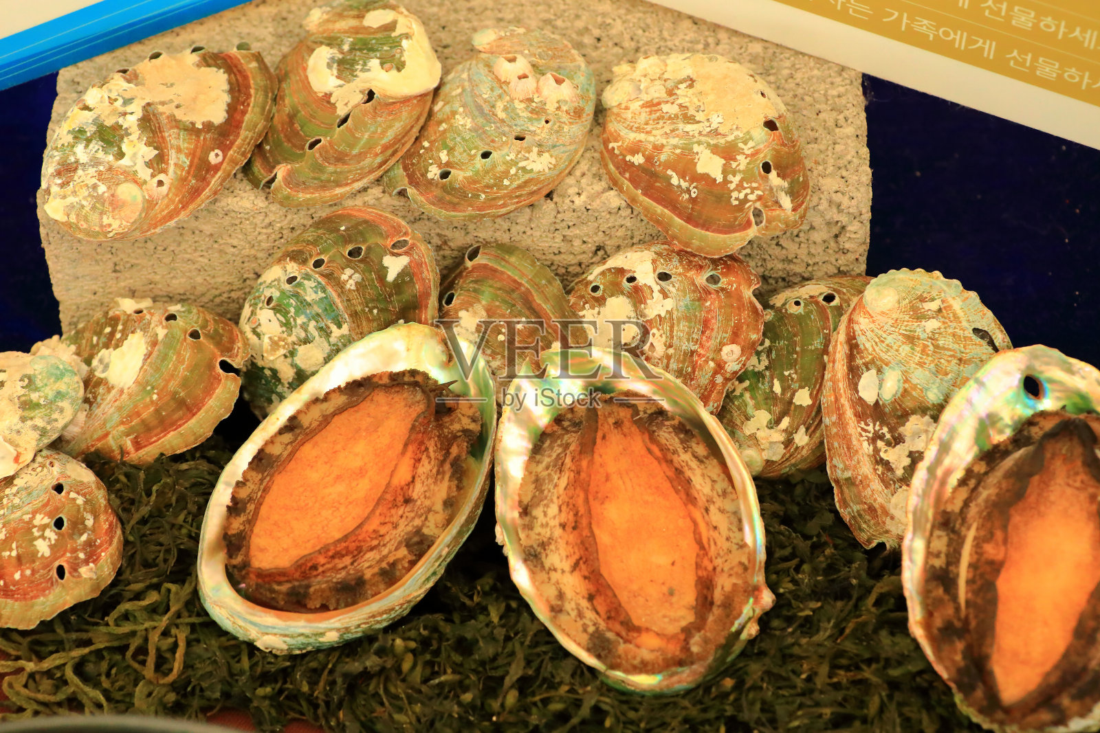 韩国,韩国,韩国食品,传统,济州岛照片摄影图片