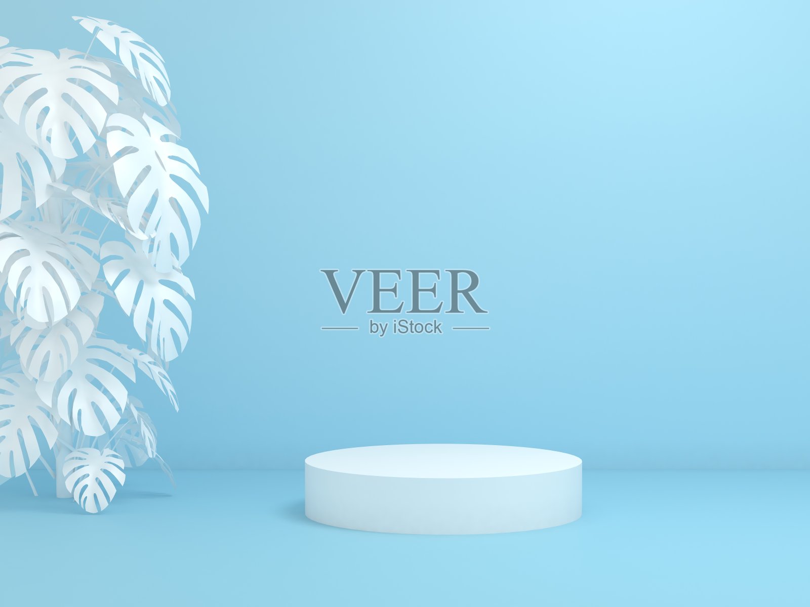 蓬莱蕉,讲台照片摄影图片