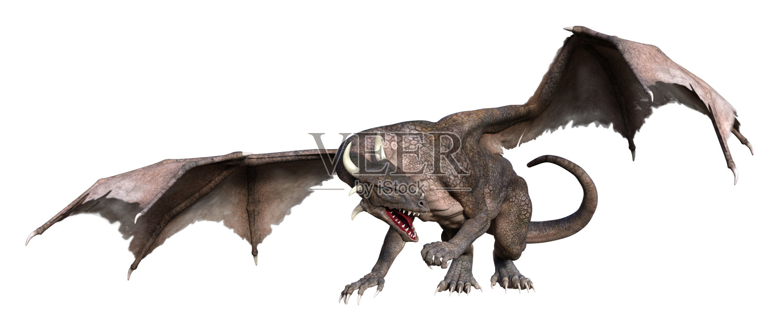 3D插图幻想龙在白色照片摄影图片