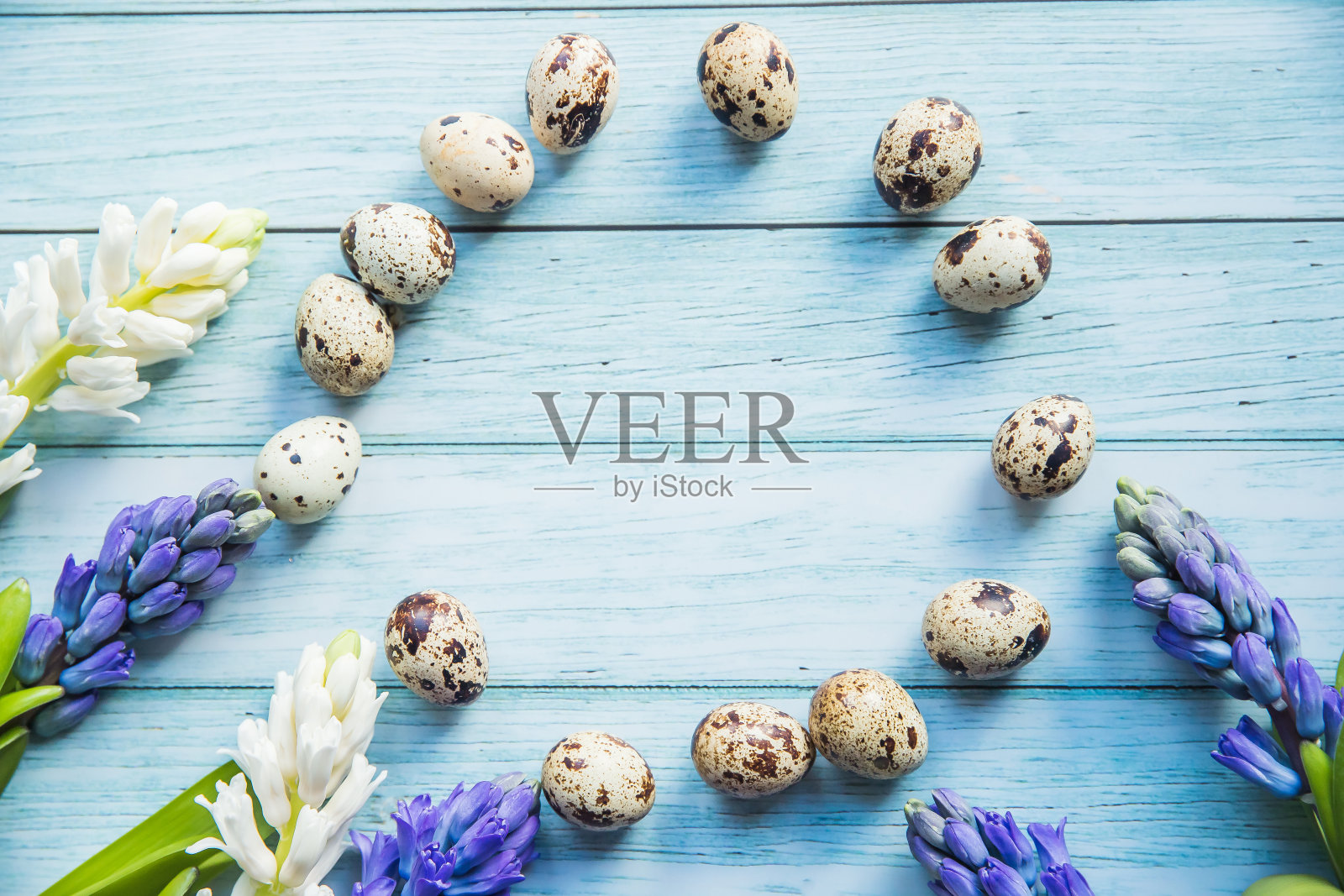 复活节彩蛋围成一个圈,春天在蓝色的背景上绽放照片摄影图片