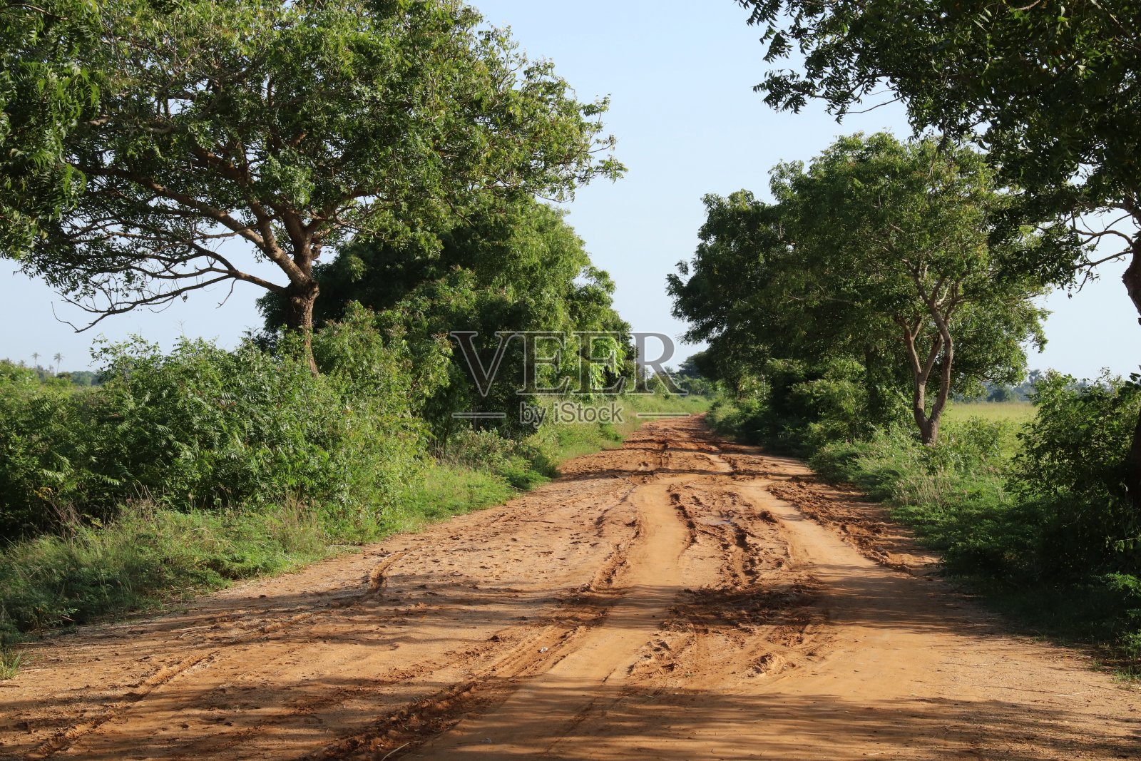 通往多哥湖码头的道路,在Aného附近,西非多哥。照片摄影图片