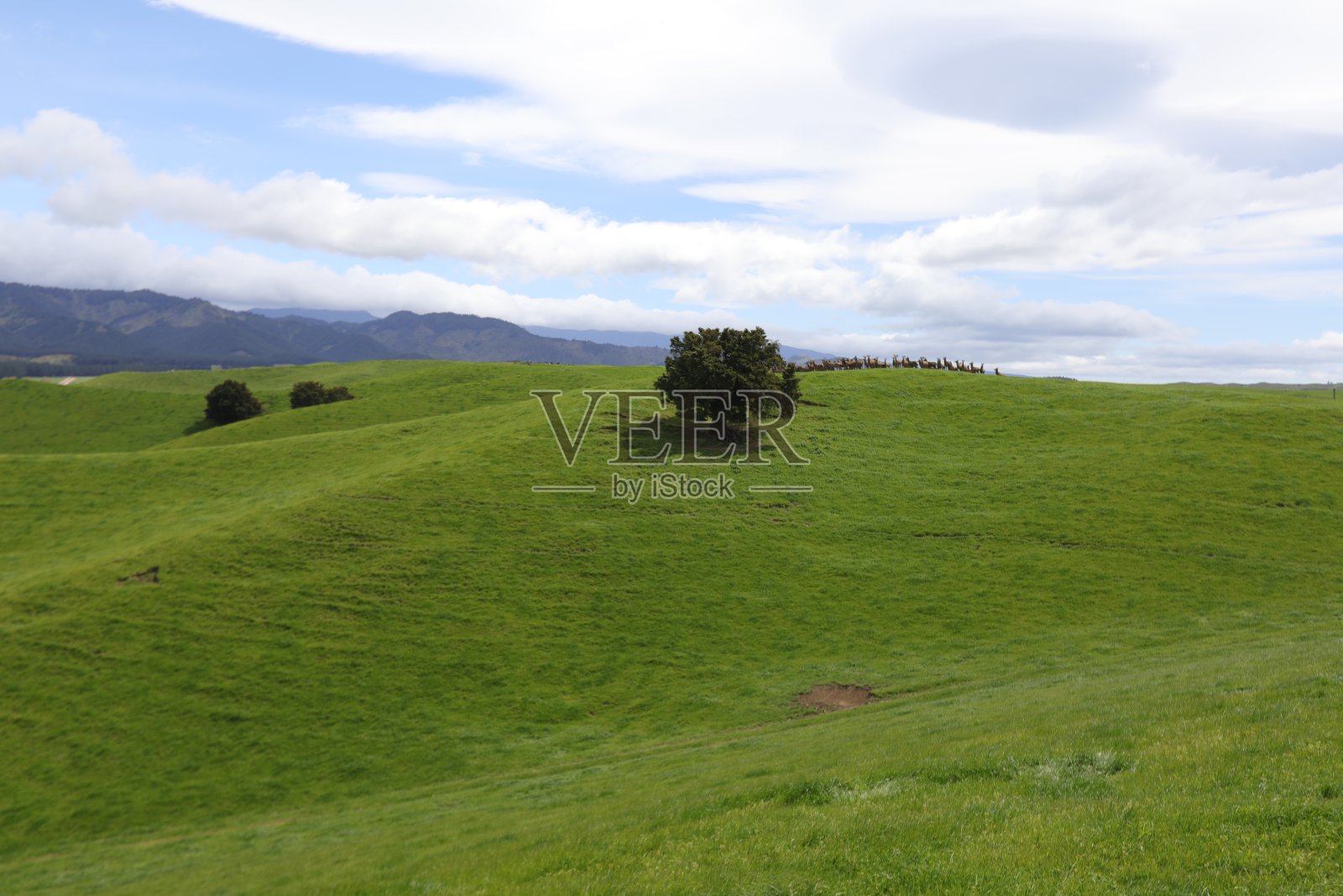 新西兰的风景照片摄影图片
