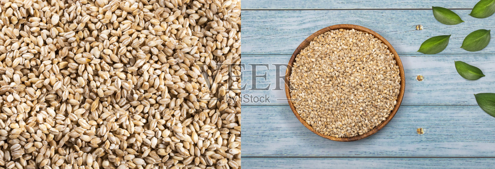 天然有机珍珠大麦。文本空间照片摄影图片