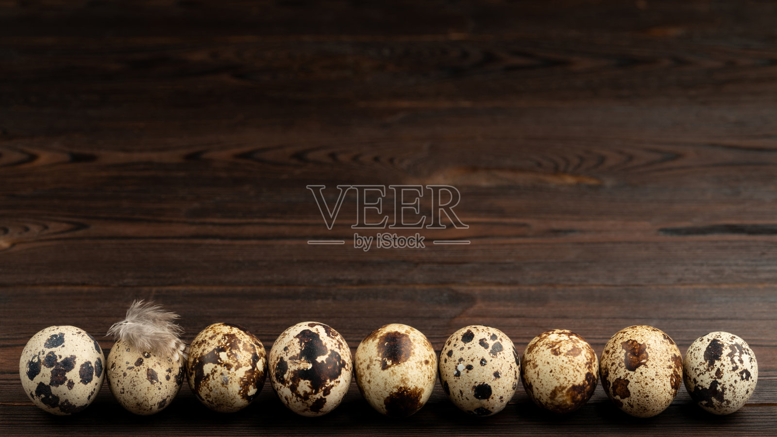 一张棕色的桌子上的一排鹌鹑蛋照片摄影图片