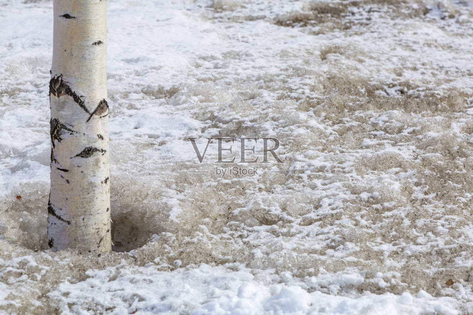 冬季公园里的一堆脏雪照片摄影图片