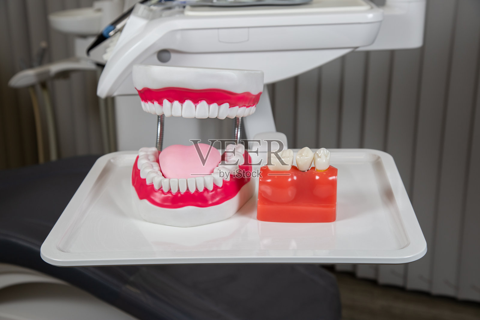 石膏模型的下巴与牙龈和牙齿在桌子上。人工颌,牙医和病人的视觉辅助。照片摄影图片