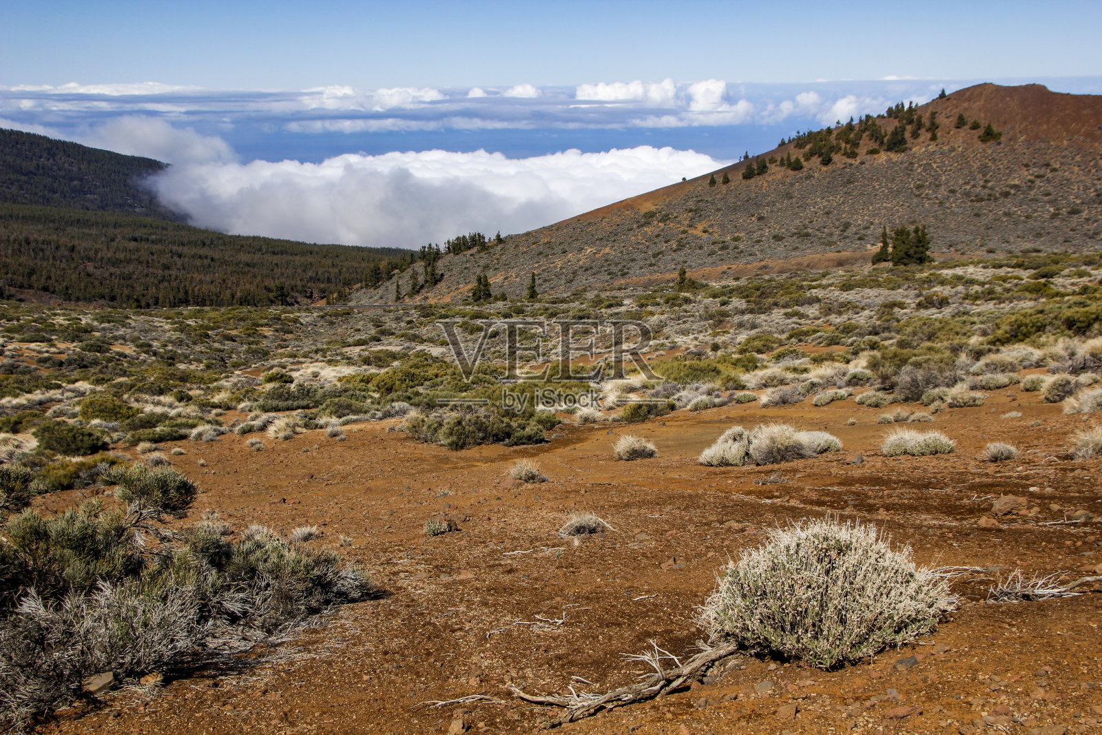 国家公园广场、田纳菲照片摄影图片