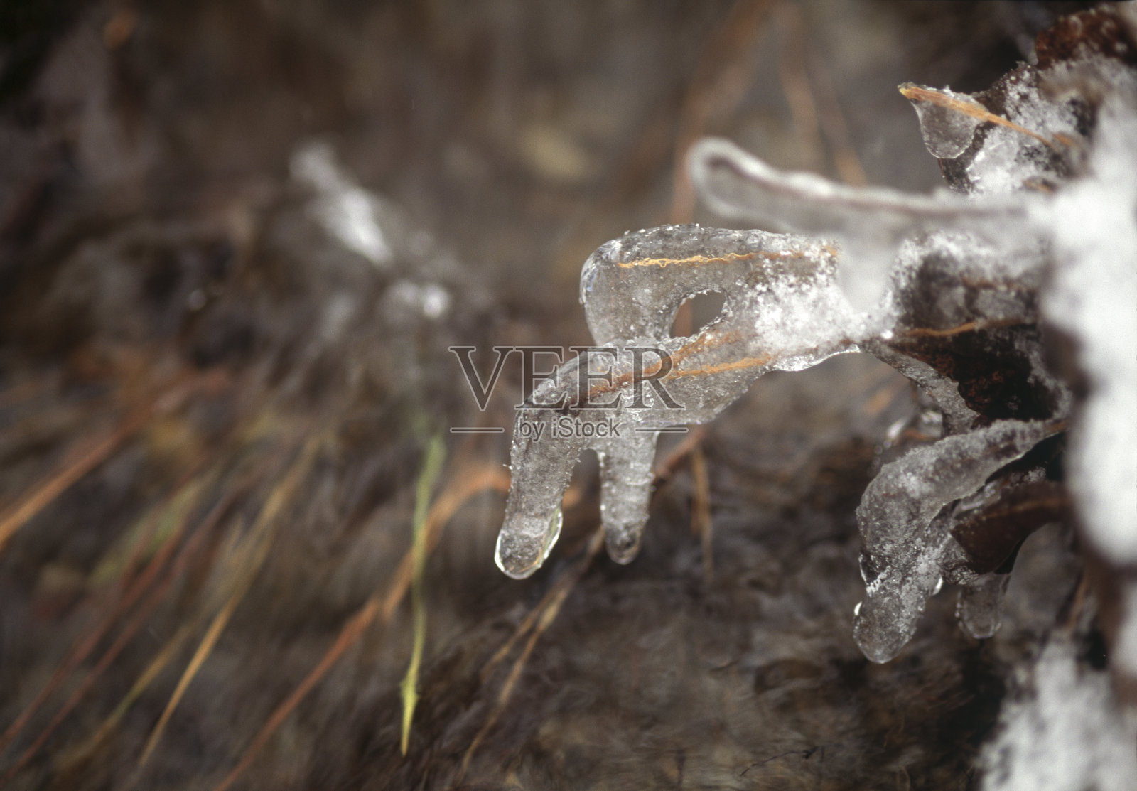 蓝天下的云景照片摄影图片